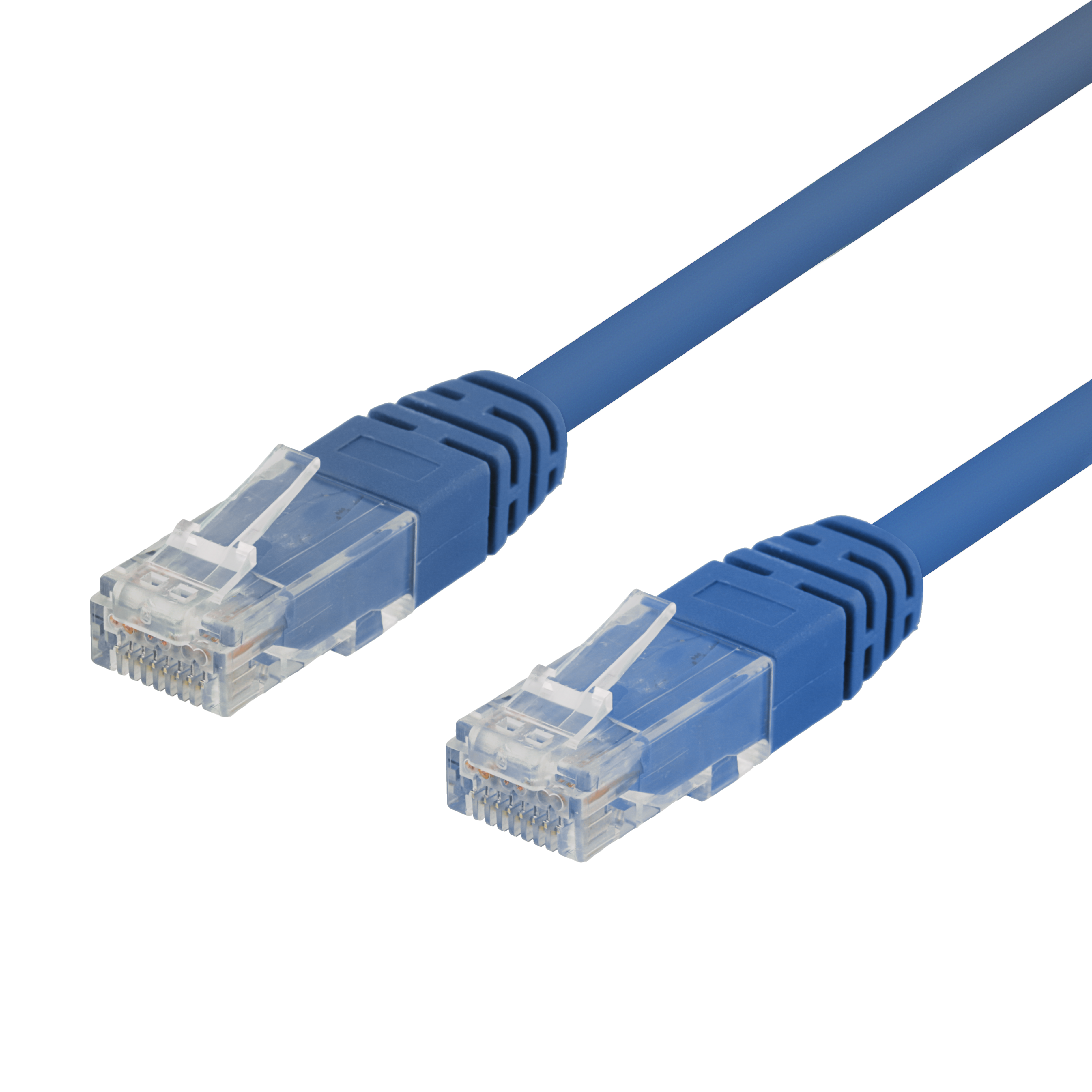 Blaue Netzwerkkabel mit transparenten Steckern auf schwarzem Hintergrund.