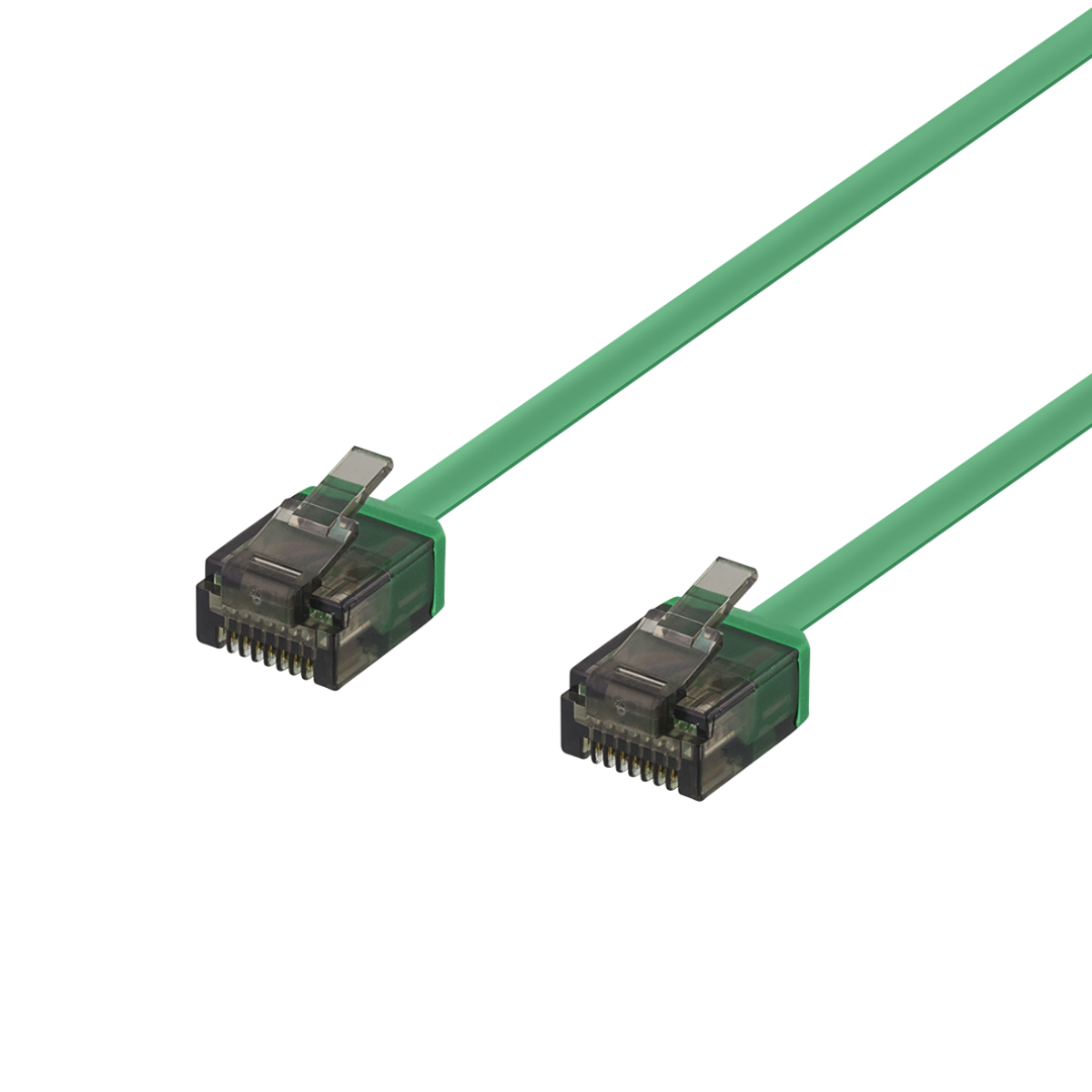 Due cavi Ethernet verdi con connettori trasparenti, su sfondo nero.