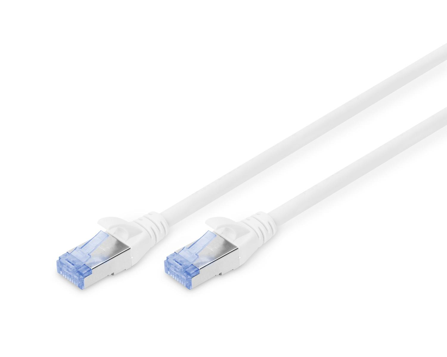 Deux câbles Ethernet blancs avec des connecteurs bleus, isolés sur fond blanc.