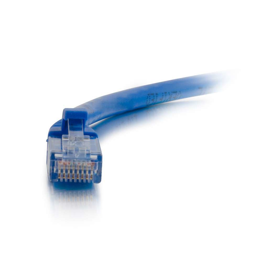 Cavo Ethernet blu con connettore trasparente. Sfondo bianco, primo piano.