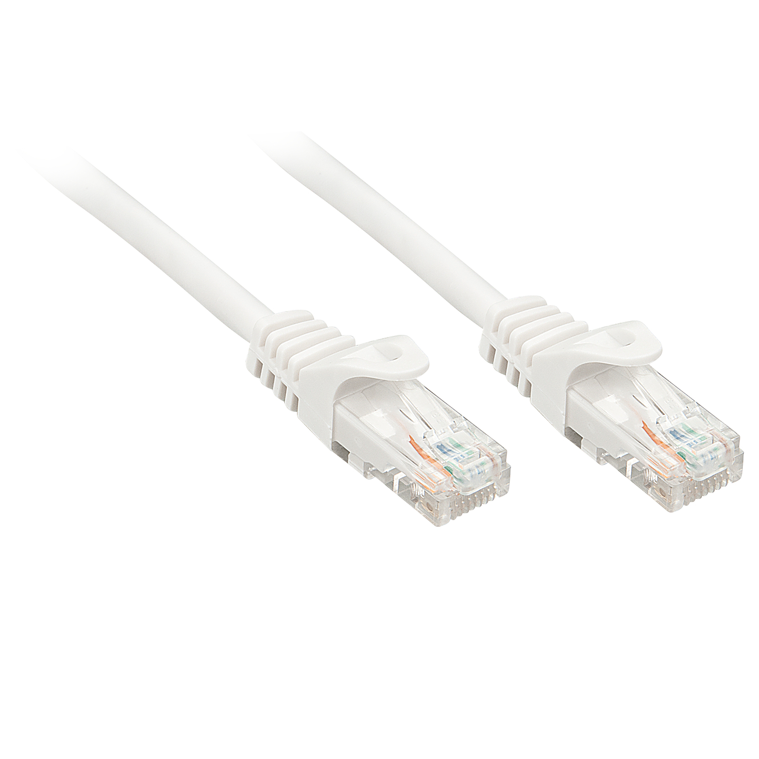 Dwa białe kable Ethernet z przezroczystymi złączami, na białym tle, zbliżenie.