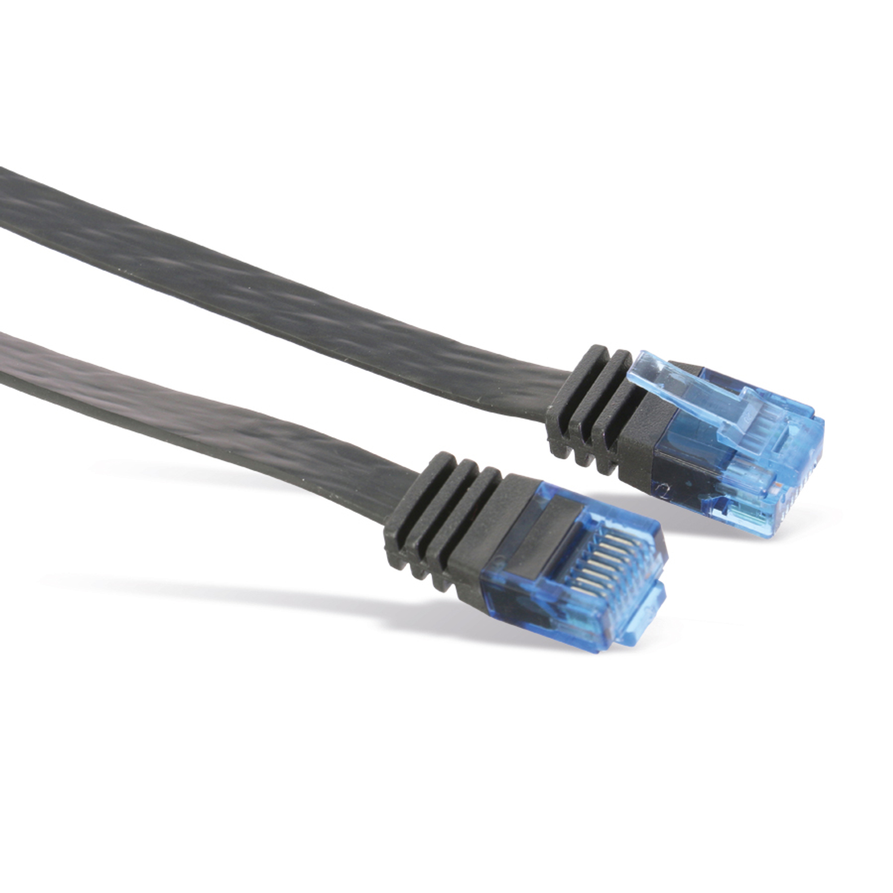 Due cavi Ethernet neri con connettori blu su sfondo bianco.