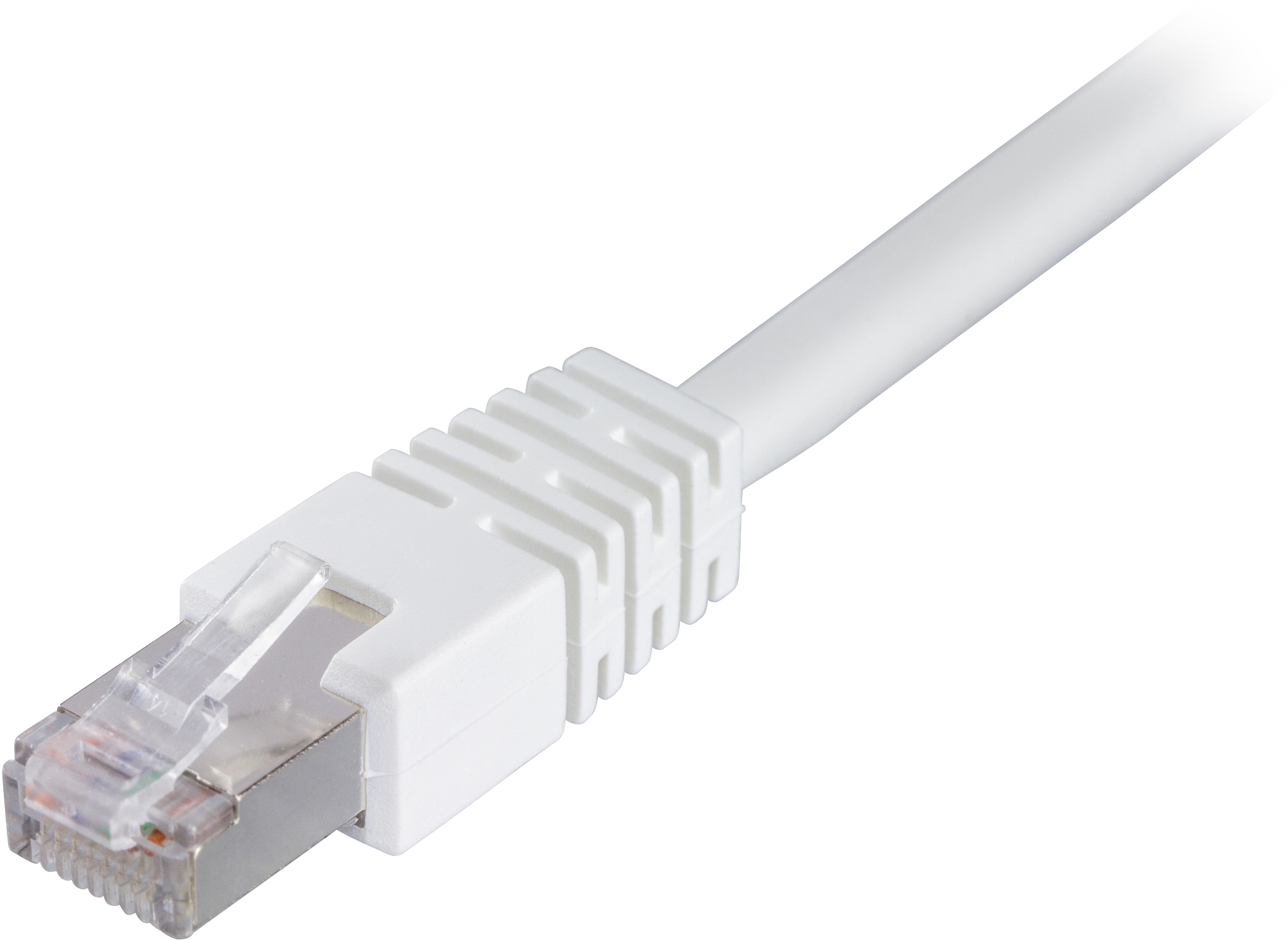 Un cavo Ethernet bianco con connettore bianco, su sfondo bianco.
