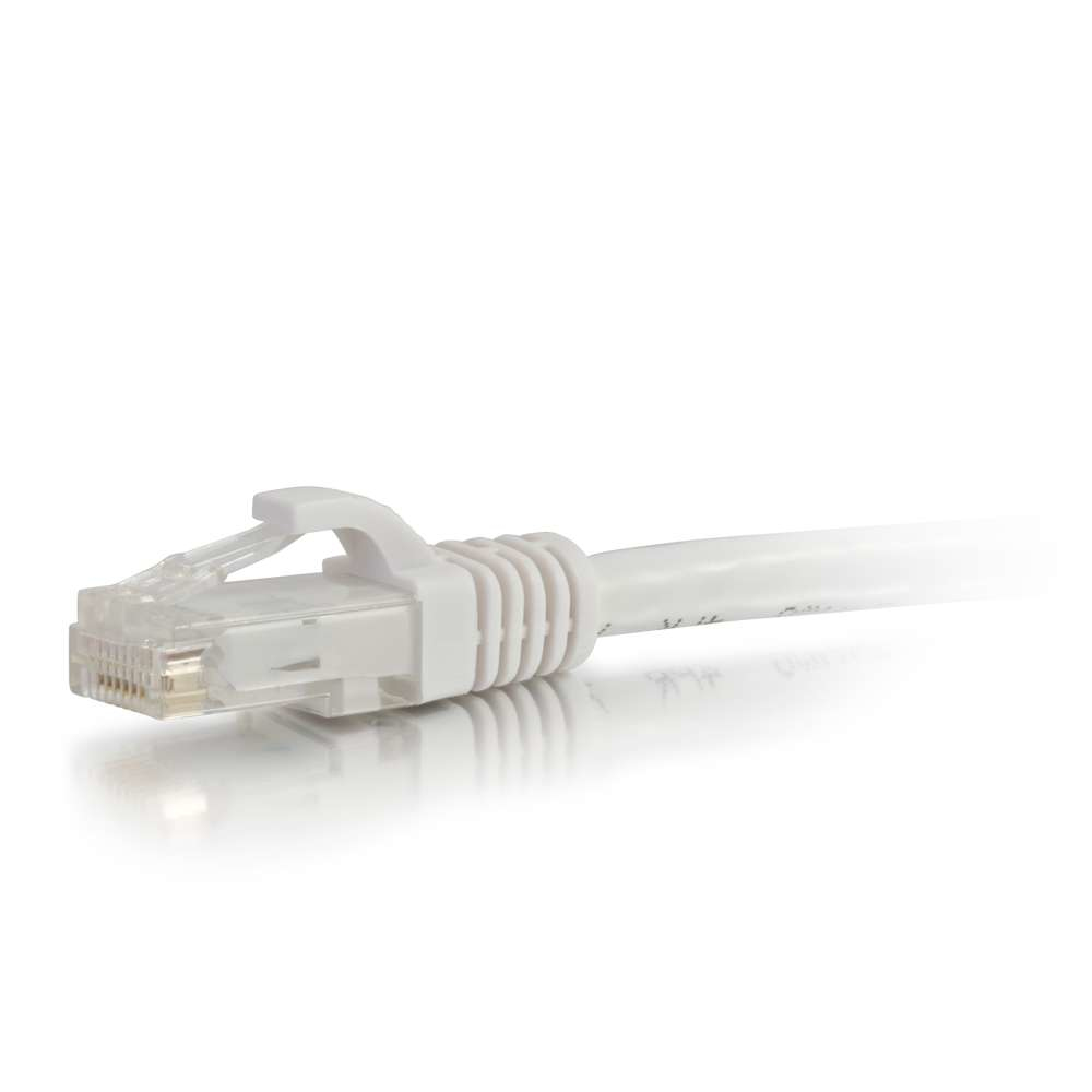 Un cavo Ethernet con cavo bianco e connettore trasparente su sfondo bianco.