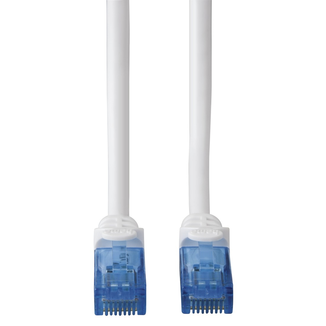 Zwei weiße Ethernet-Kabel mit blauen Steckern auf weißem Hintergrund.