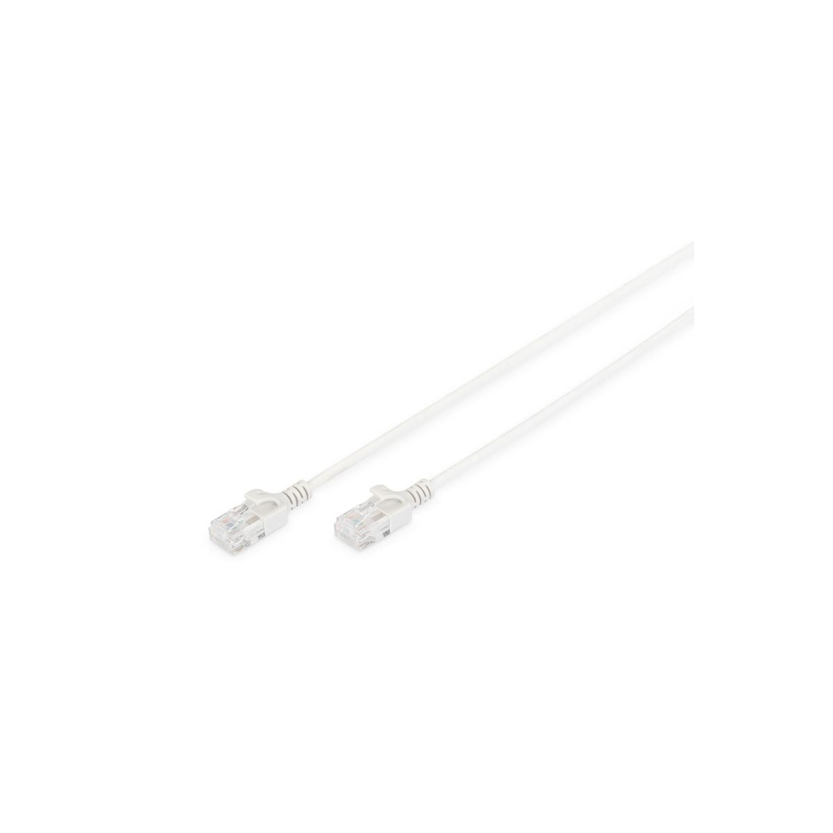 Due cavi Ethernet bianchi con connettori trasparenti, su sfondo bianco.