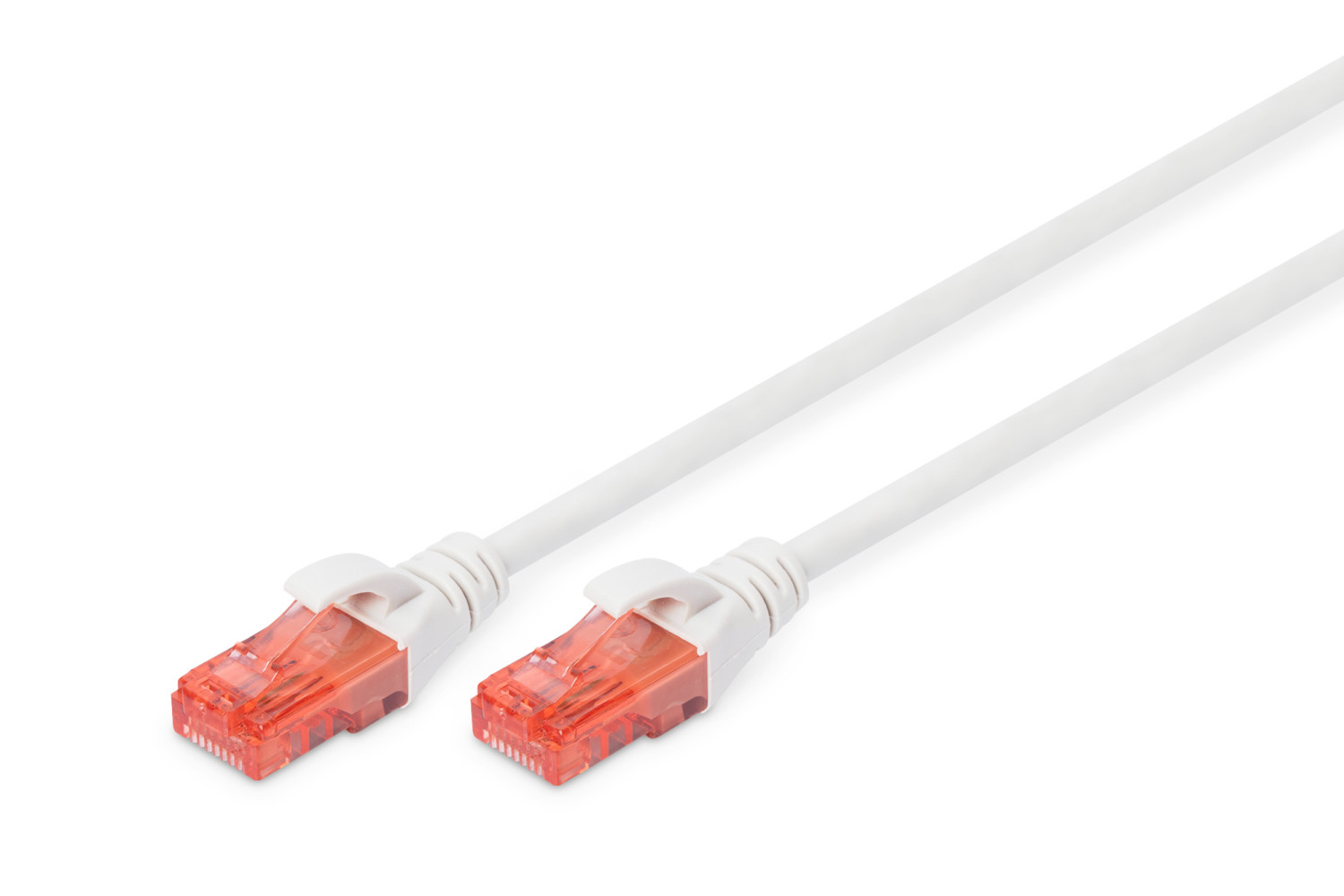Deux câbles réseau blancs avec connecteurs rouges sur fond blanc.