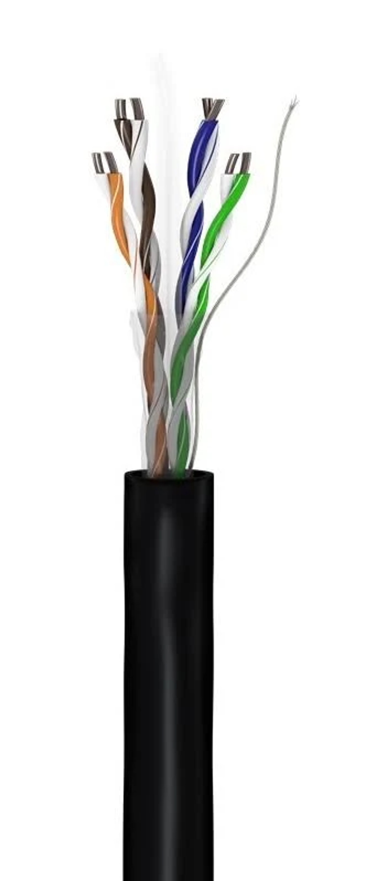 Cut Ethernet cable end showing twisted pairs of colored wires, black outer sheath, white background.