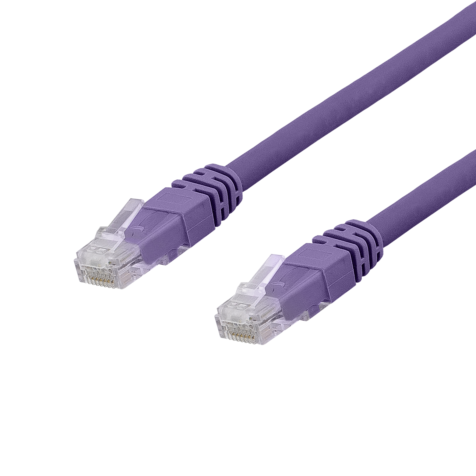 Cavi Ethernet viola con connettori trasparenti su sfondo nero.