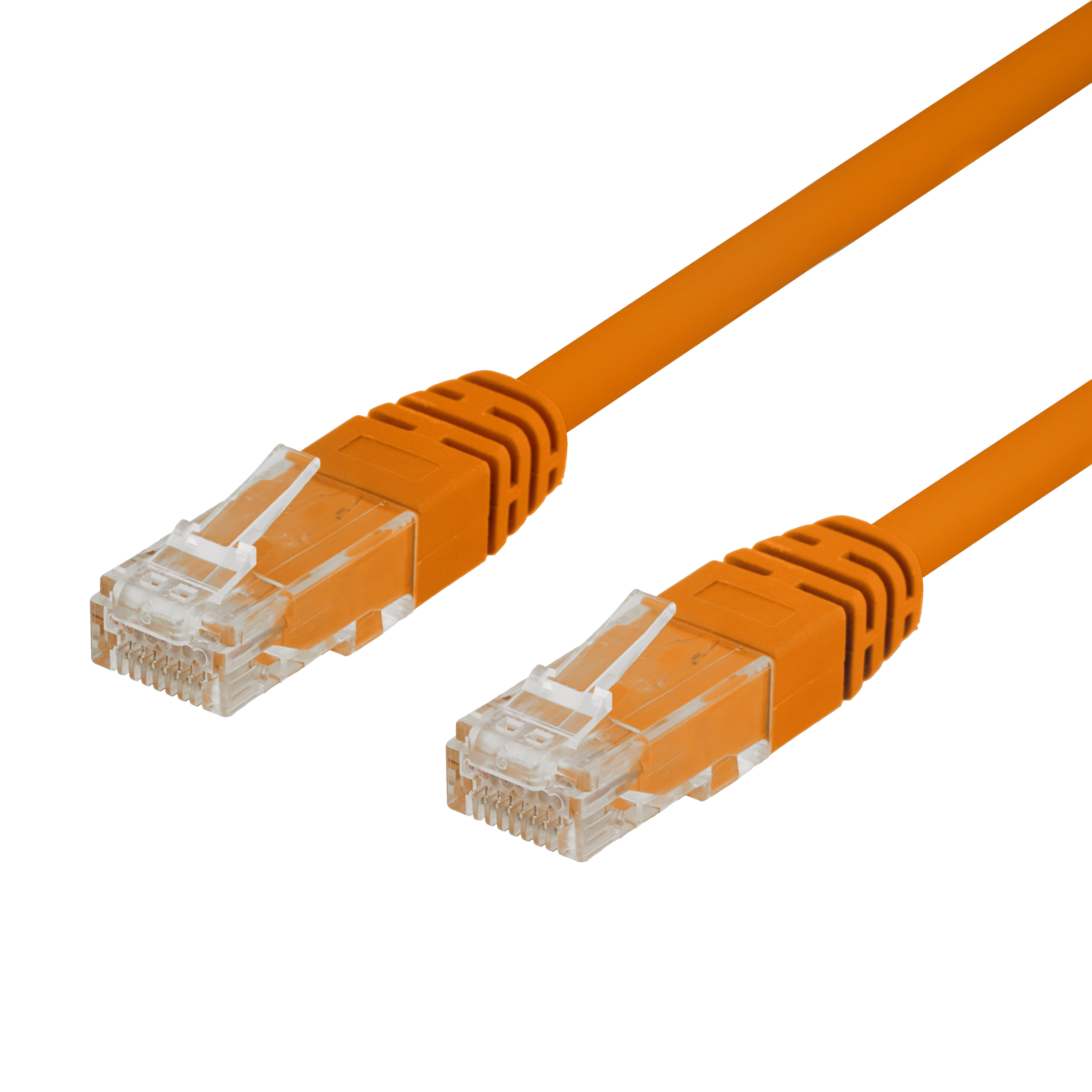 Due cavi ethernet arancioni. Sfondo nero. Connettori trasparenti.