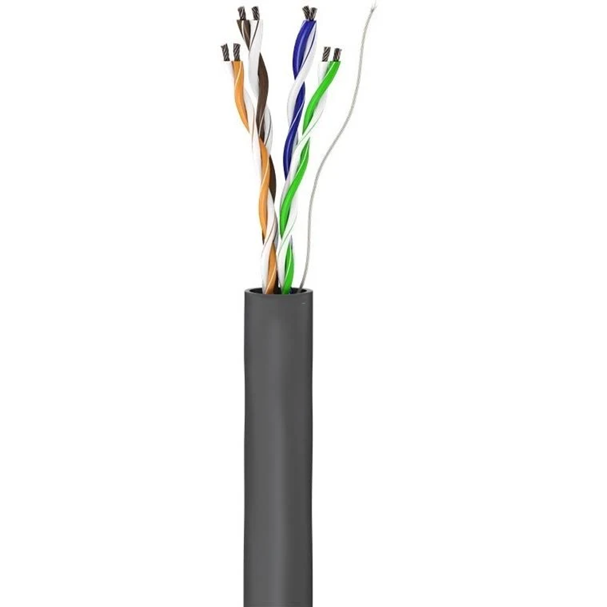 Cavo Ethernet tagliato che mostra i fili interni colorati. Guaina esterna grigia. Sfondo bianco.