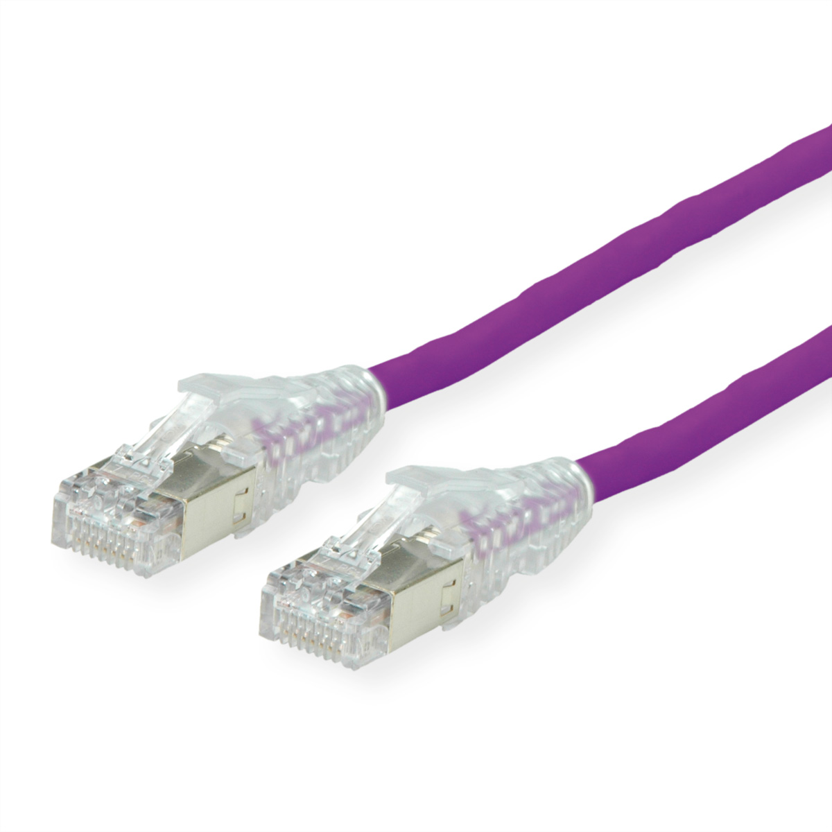 Deux câbles Ethernet violets avec connecteurs transparents. Fond blanc.