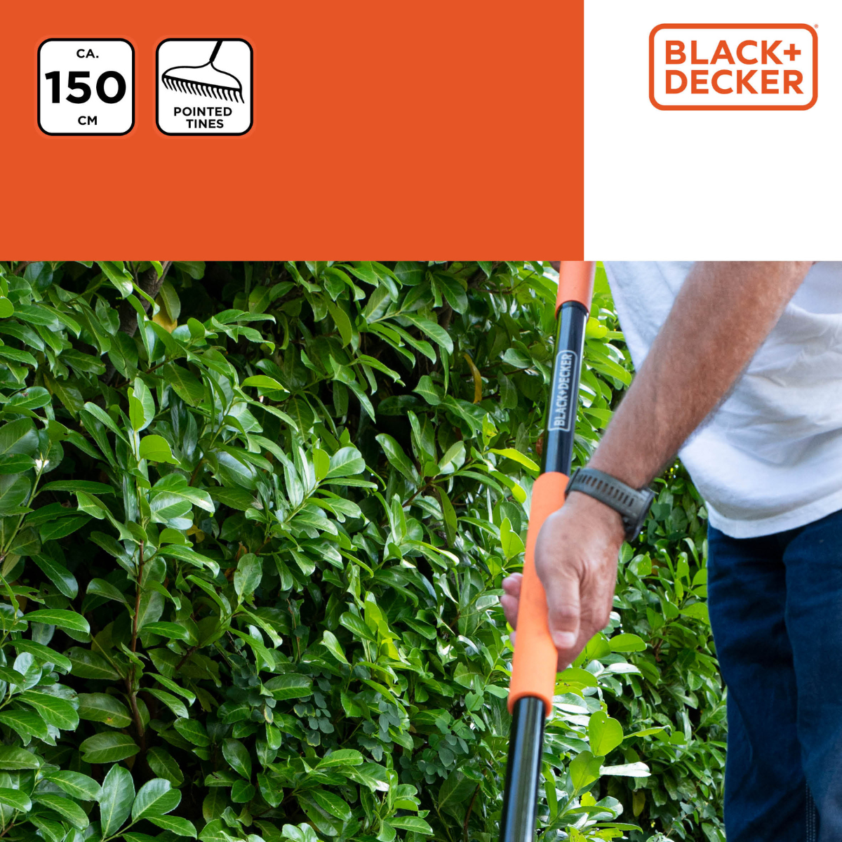 A man using a Black+Decker hedge trimmer. Green hedge in the background.