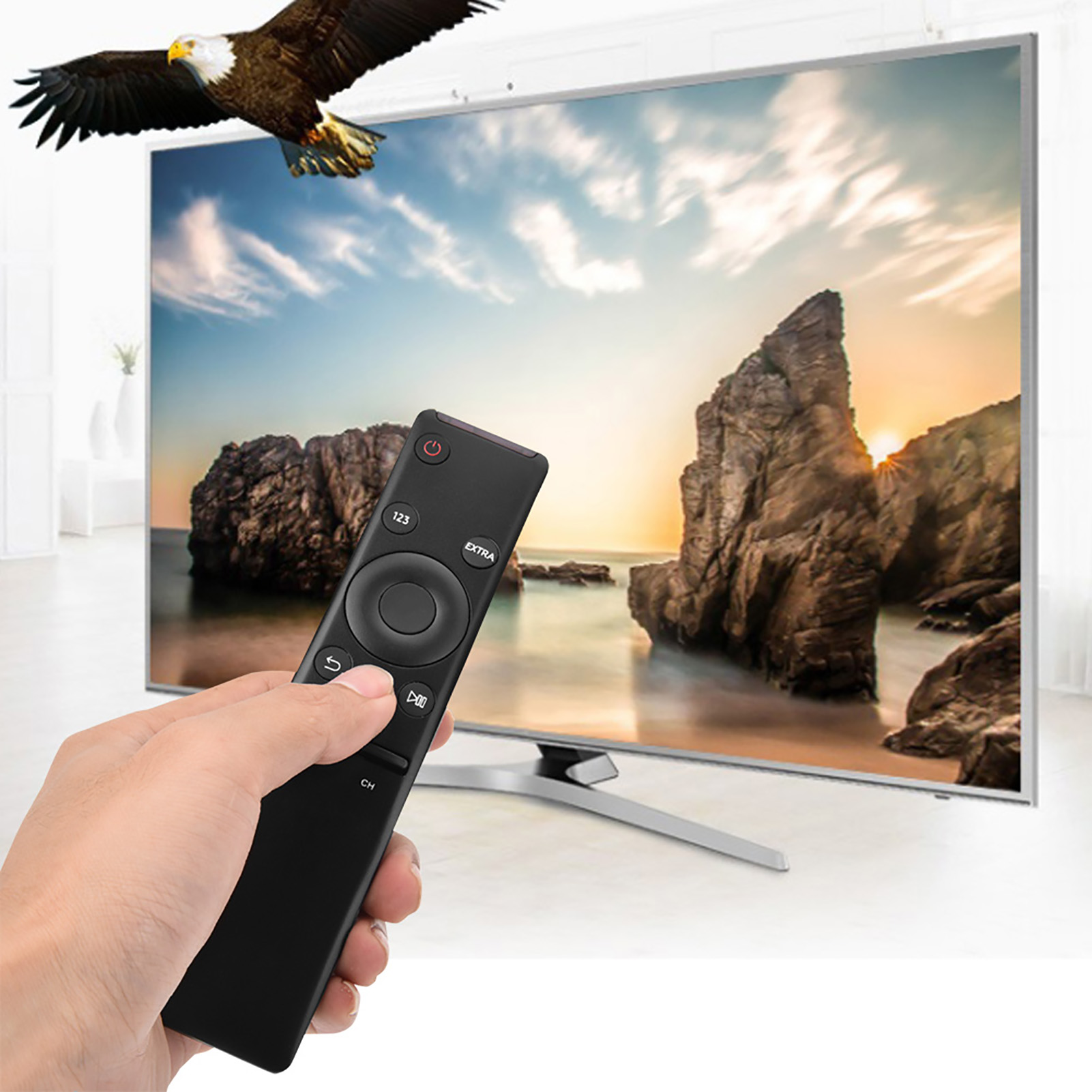 Eine Hand hält eine schwarze TV-Fernbedienung. Im Hintergrund ein Fernseher, eine Strandszene mit einem Adler darüber.