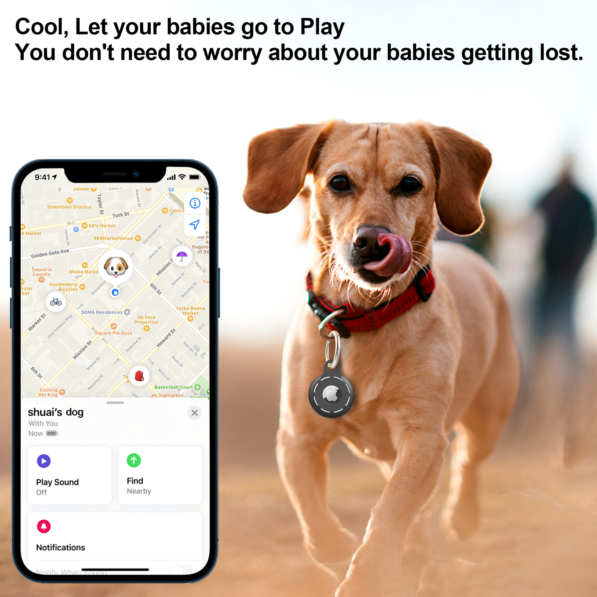 Un chien avec un traceur en laisse. Le chien est dans un parc et un téléphone affiche sa position.