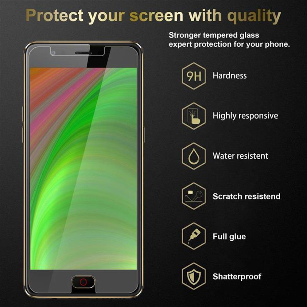Un telefono con cornice dorata viene mostrato con una protezione schermo con dettagli dorati.