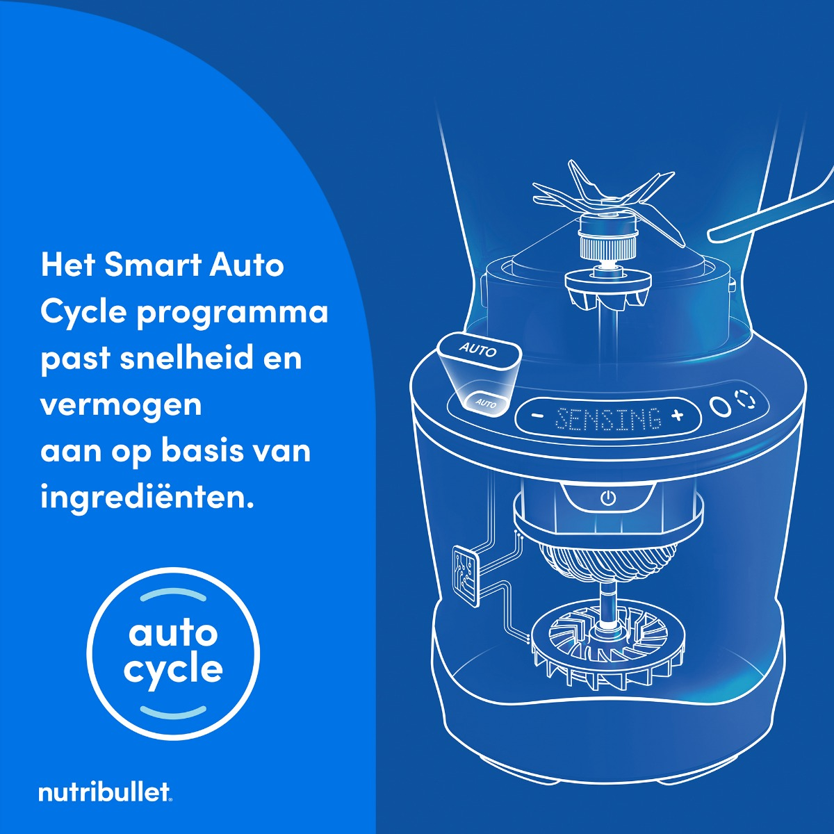 Diagramme des composants internes du mixeur Nutribullet, avec fond bleu. Texte sur le programme de cycle automatique.