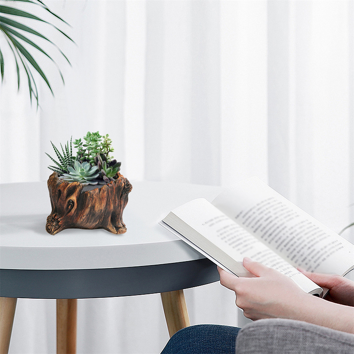 Ein kleiner, holzähnlicher Pflanztopf mit Sukkulenten steht auf einem weißen Tisch. Eine Person liest ein Buch.