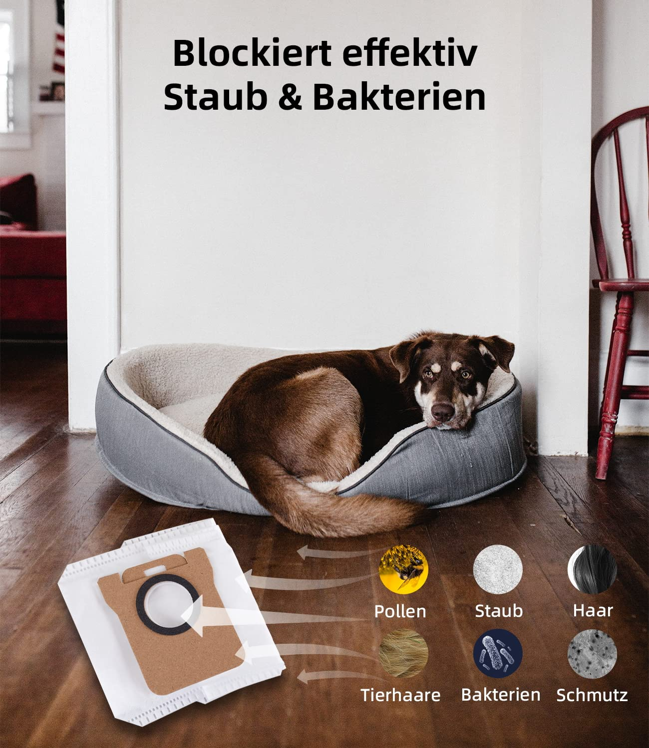 Ein Hund in einem Bett mit einem Staubsaugerbeutel und Abbildungen von Pollen, Staub, Haaren und Bakterien. Text: Blockiert Staub & Bakterien.