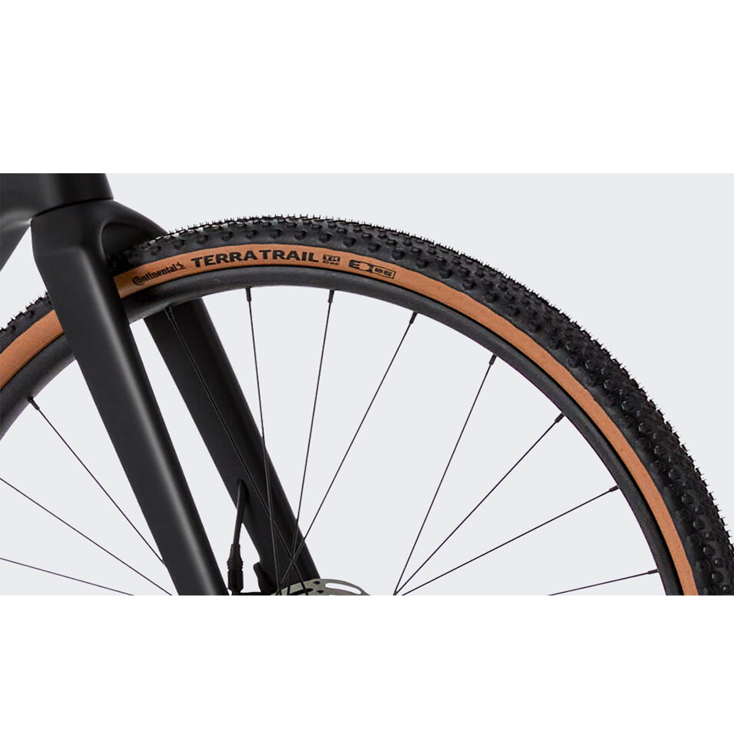 Nahaufnahme eines Fahrradrads und -reifens. Der Reifen ist braun mit schwarzem Profil und trägt die Aufschrift 'TERRA TRAIL'.