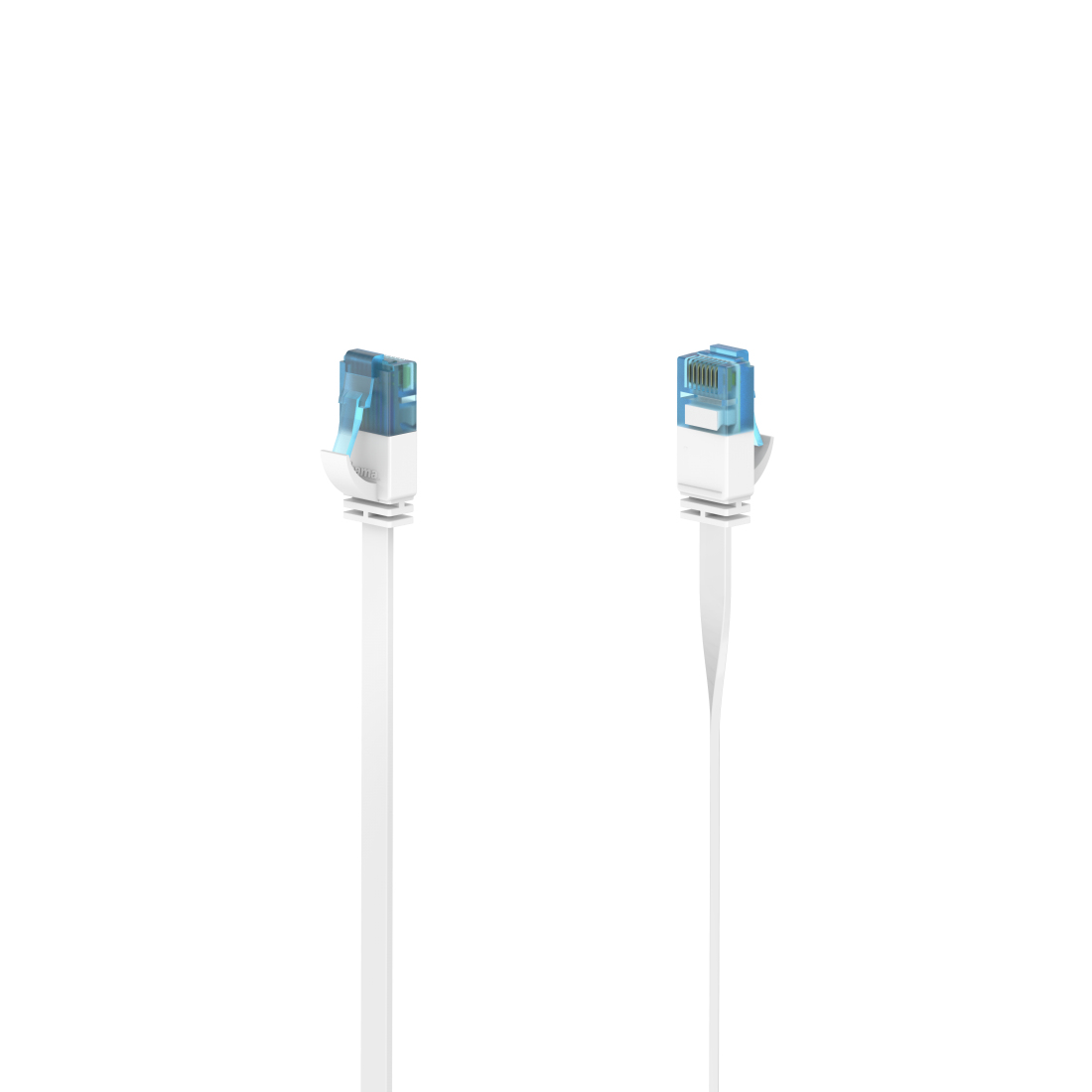 Due cavi di rete bianchi con connettori blu, isolati su sfondo bianco.