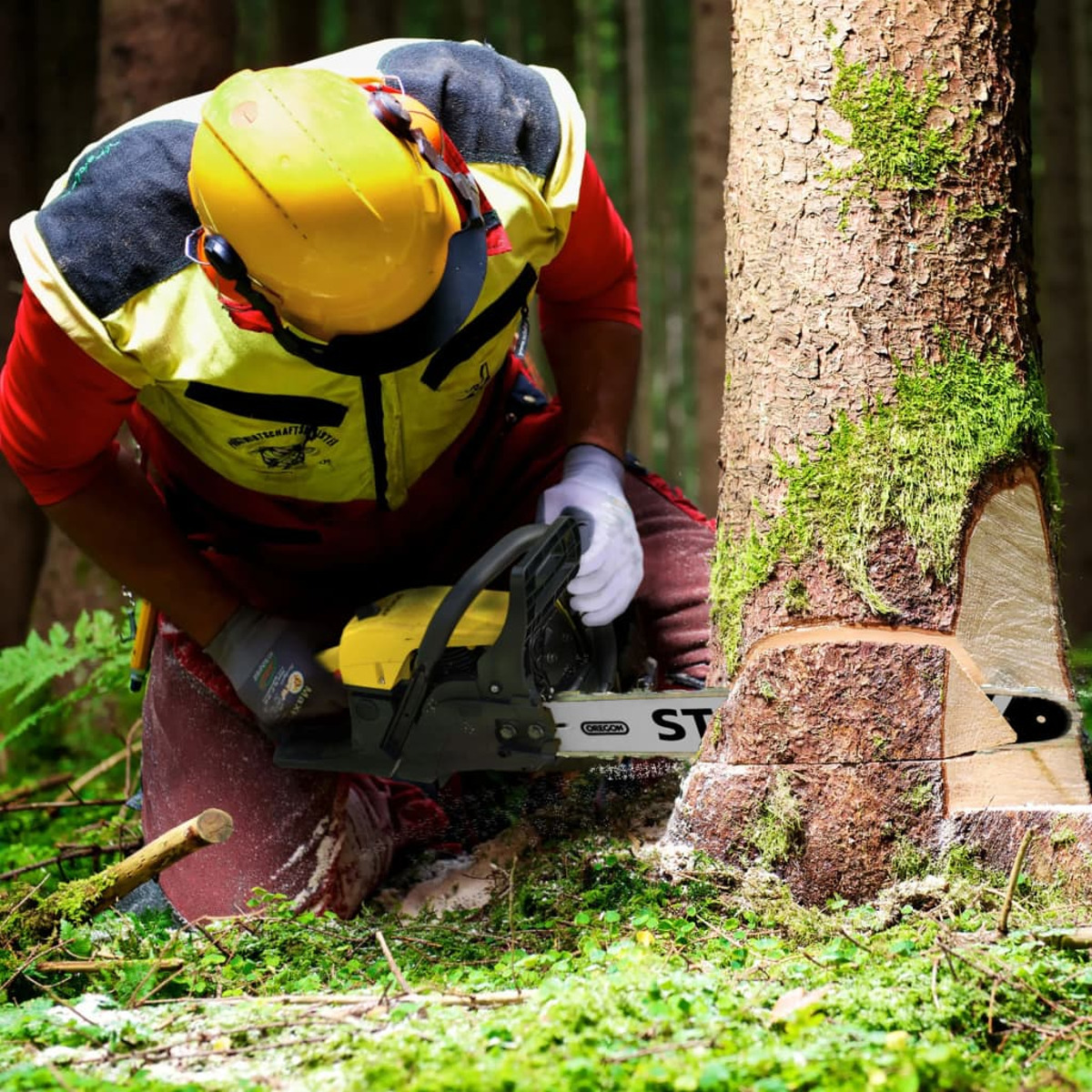 Un bûcheron en équipement de sécurité utilise une tronçonneuse pour couper un tronc d'arbre dans une forêt.