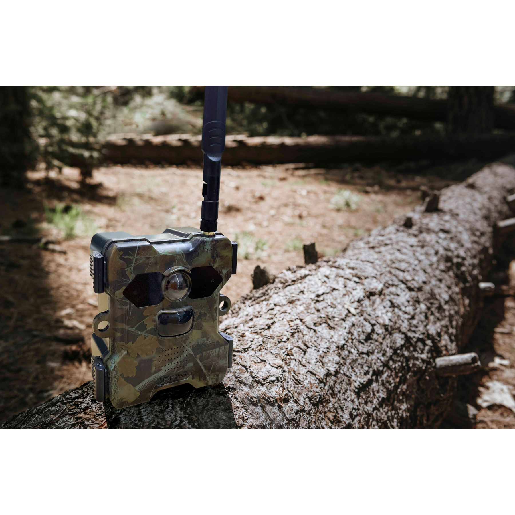 Telecamera da caccia mimetica su un tronco caduto in un ambiente forestale, con antenna nera.