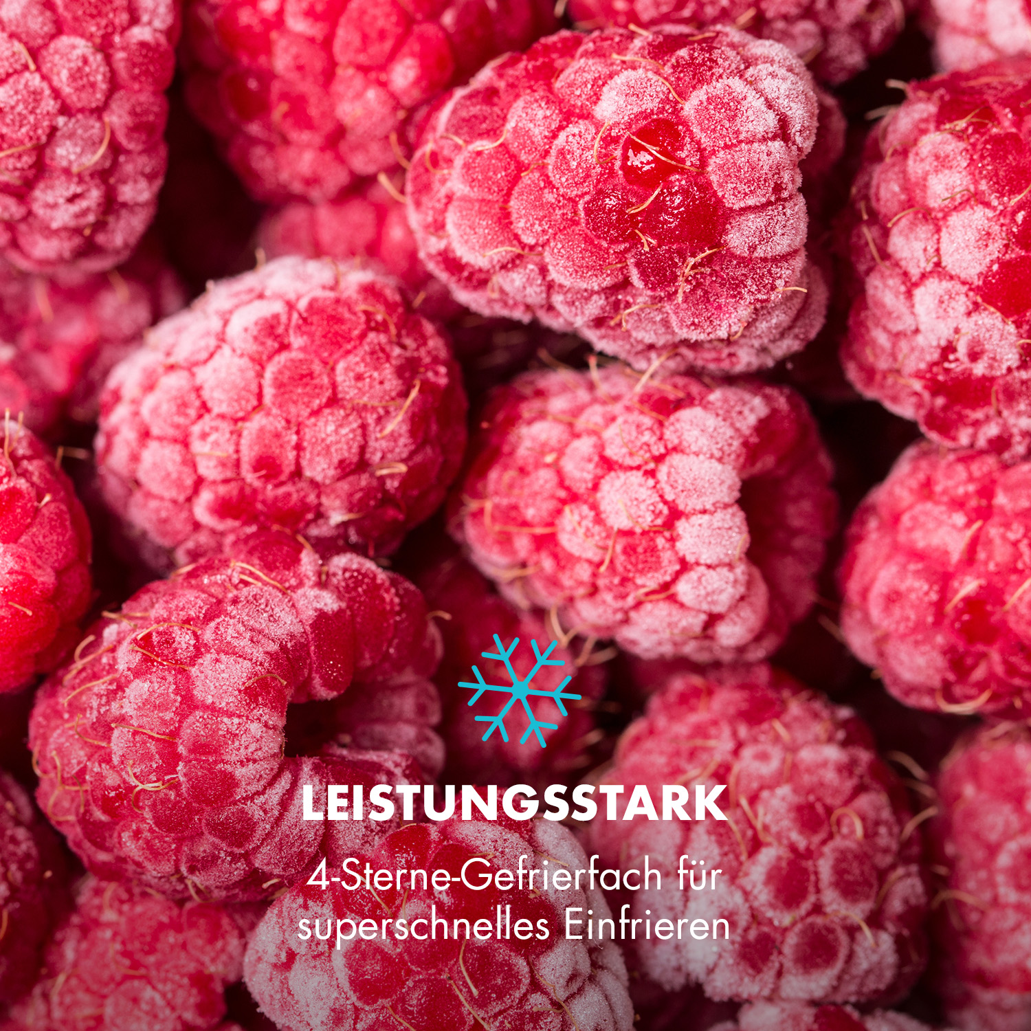 Nahaufnahme gefrorener Himbeeren mit Schneeflocke und Text über schnelles Einfrieren und 4-Sterne-Bewertung.