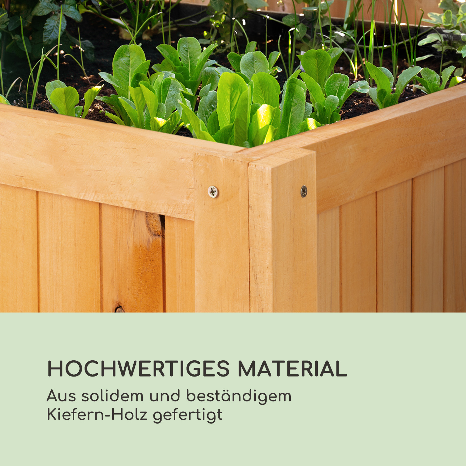 Ein erhöhter Gartenbeet aus Holz mit grünen Blättern, die darin wachsen. Das Holz hat eine natürliche Oberfläche.