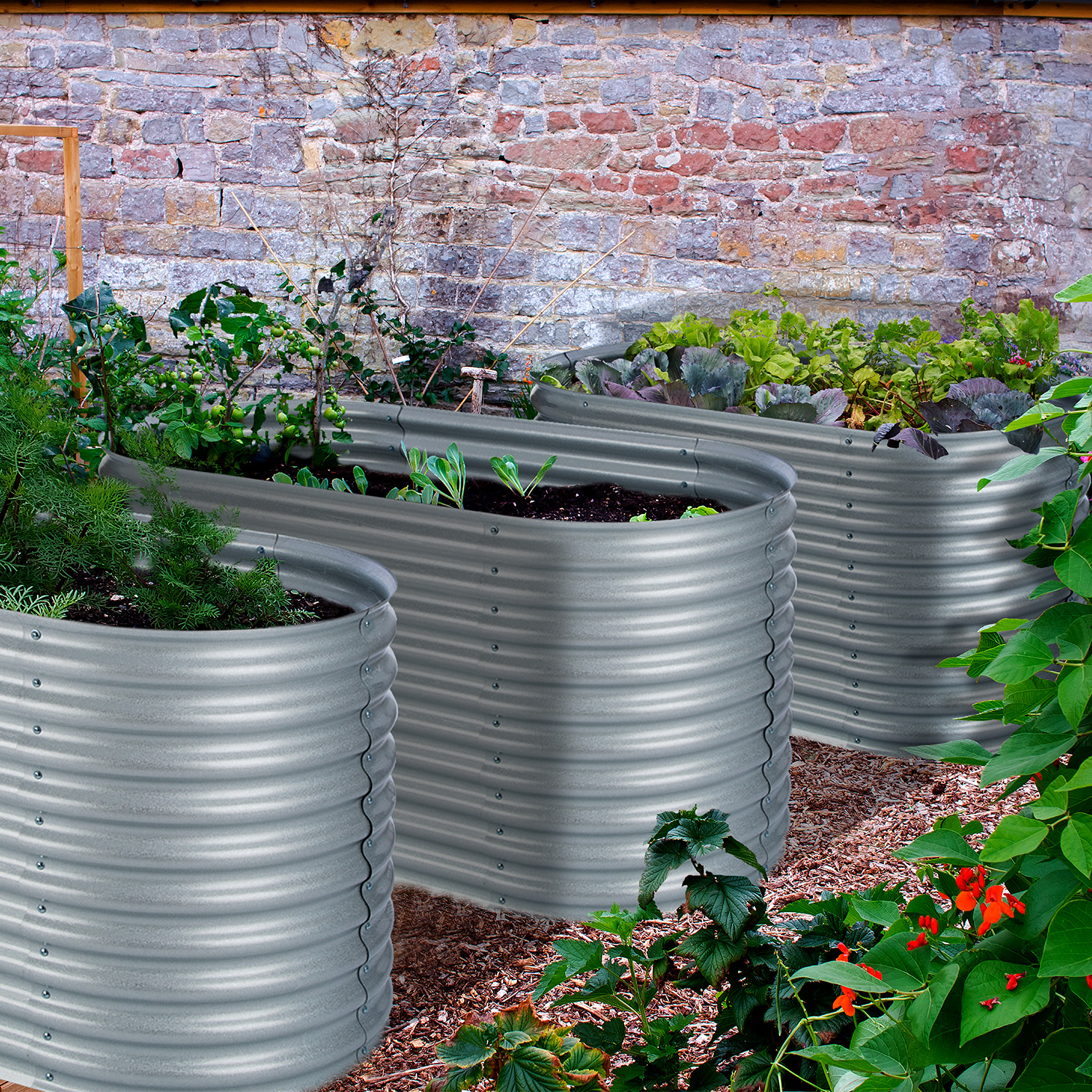Drei erhöhte Gartenbeete aus Metall, mit Pflanzen und Erde.
