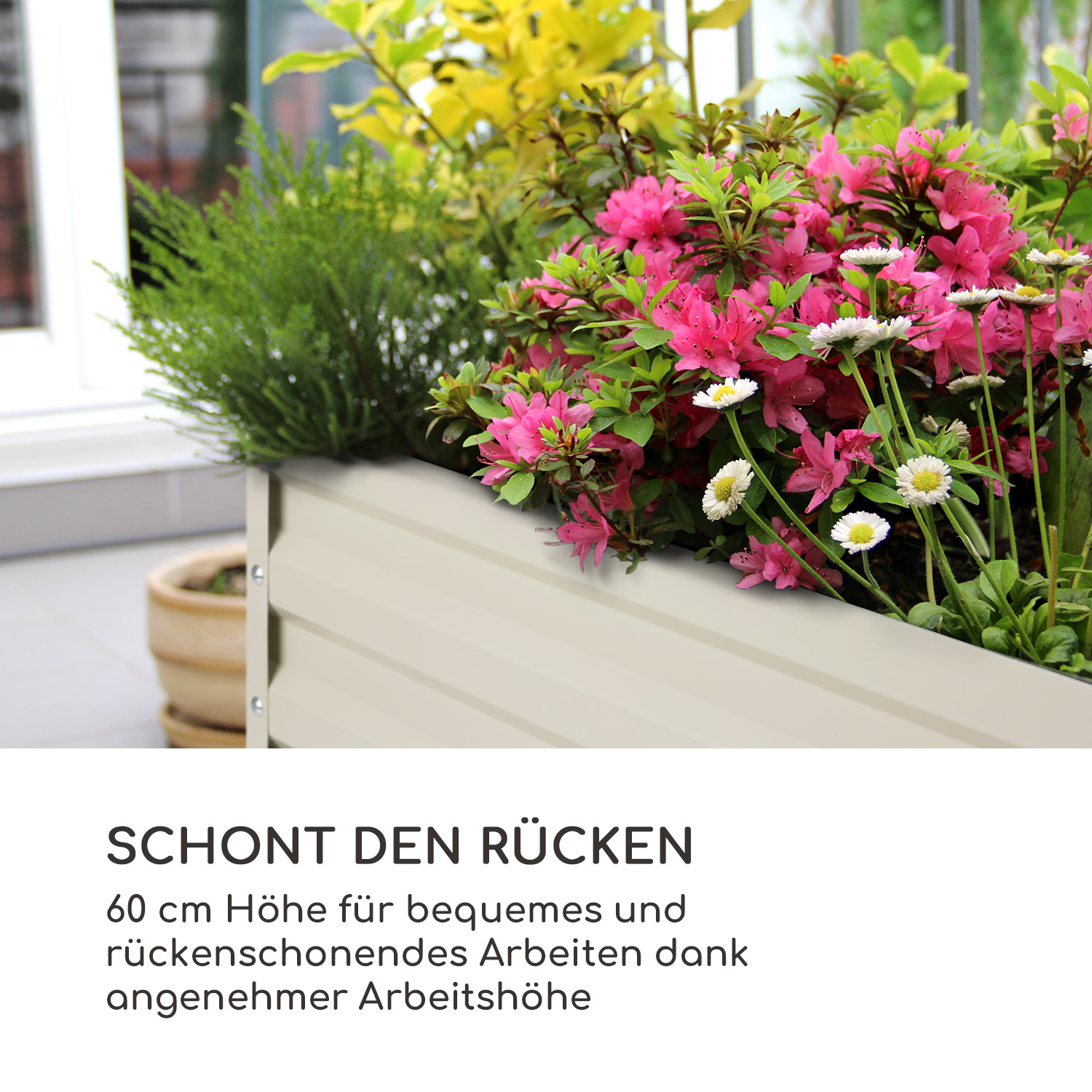 Ein erhöhtes Hochbeet mit Blumen und Pflanzen. Beiges Beet mit rosa und weißen Blumen. Im Hintergrund ein Topf.