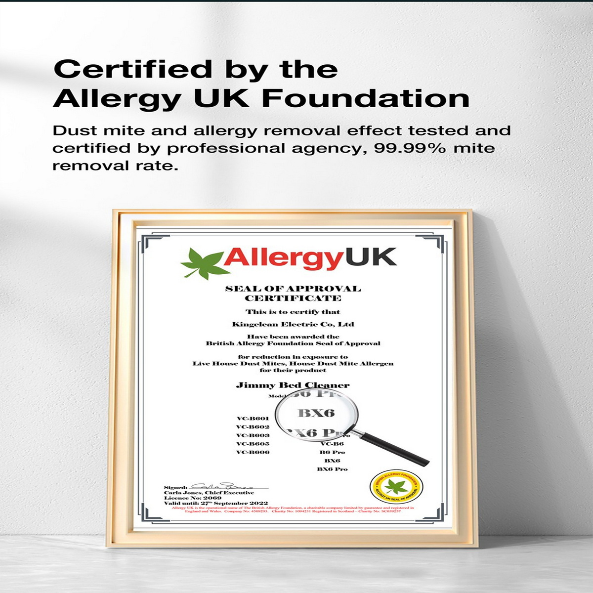 Ein gerahmtes Zertifikat der Allergy UK Foundation. Das Zertifikat ist für einen Staubsauger.