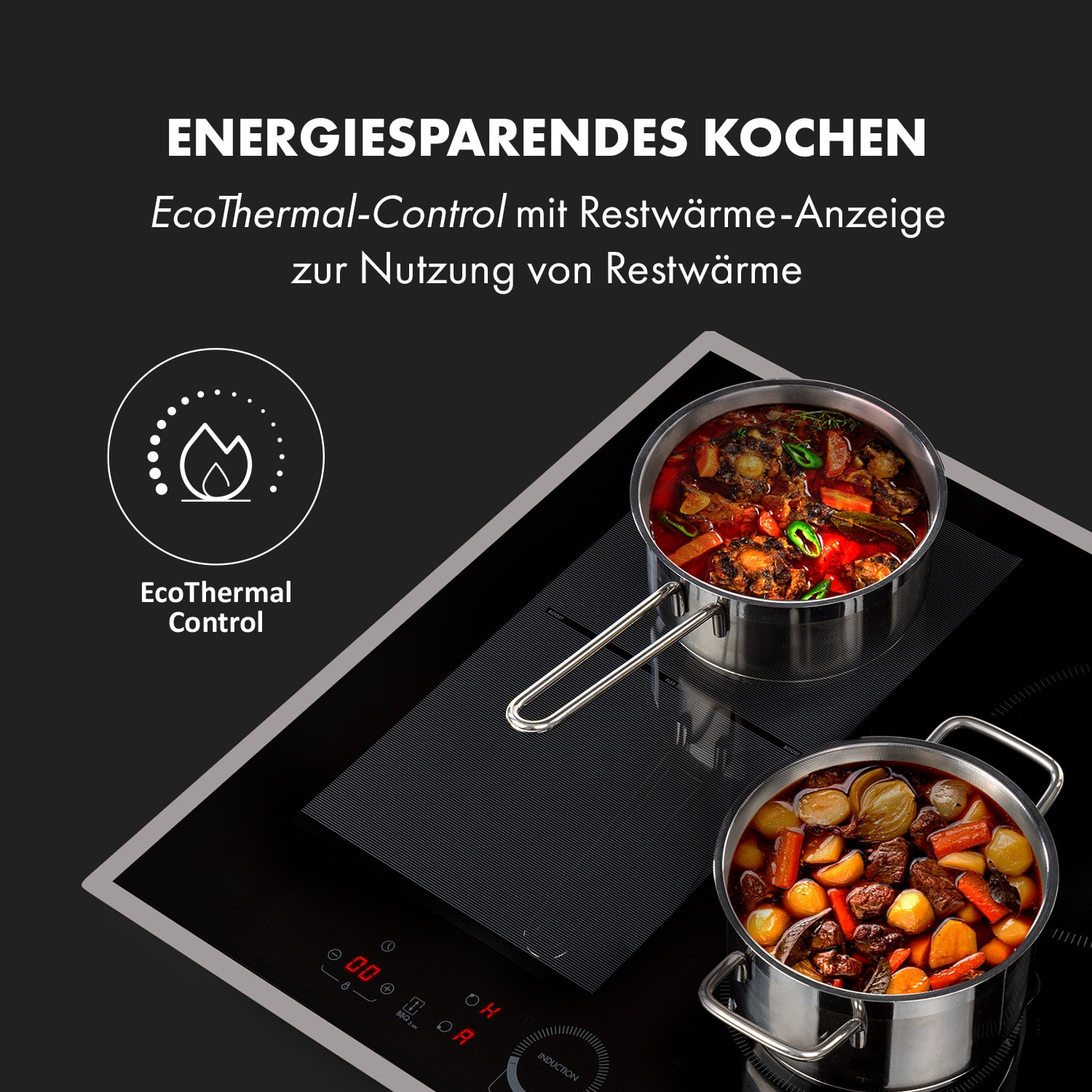 Schwarzes Kochfeld mit zwei Kochtöpfen. Text erwähnt EcoThermal-Control zur Energieeinsparung.