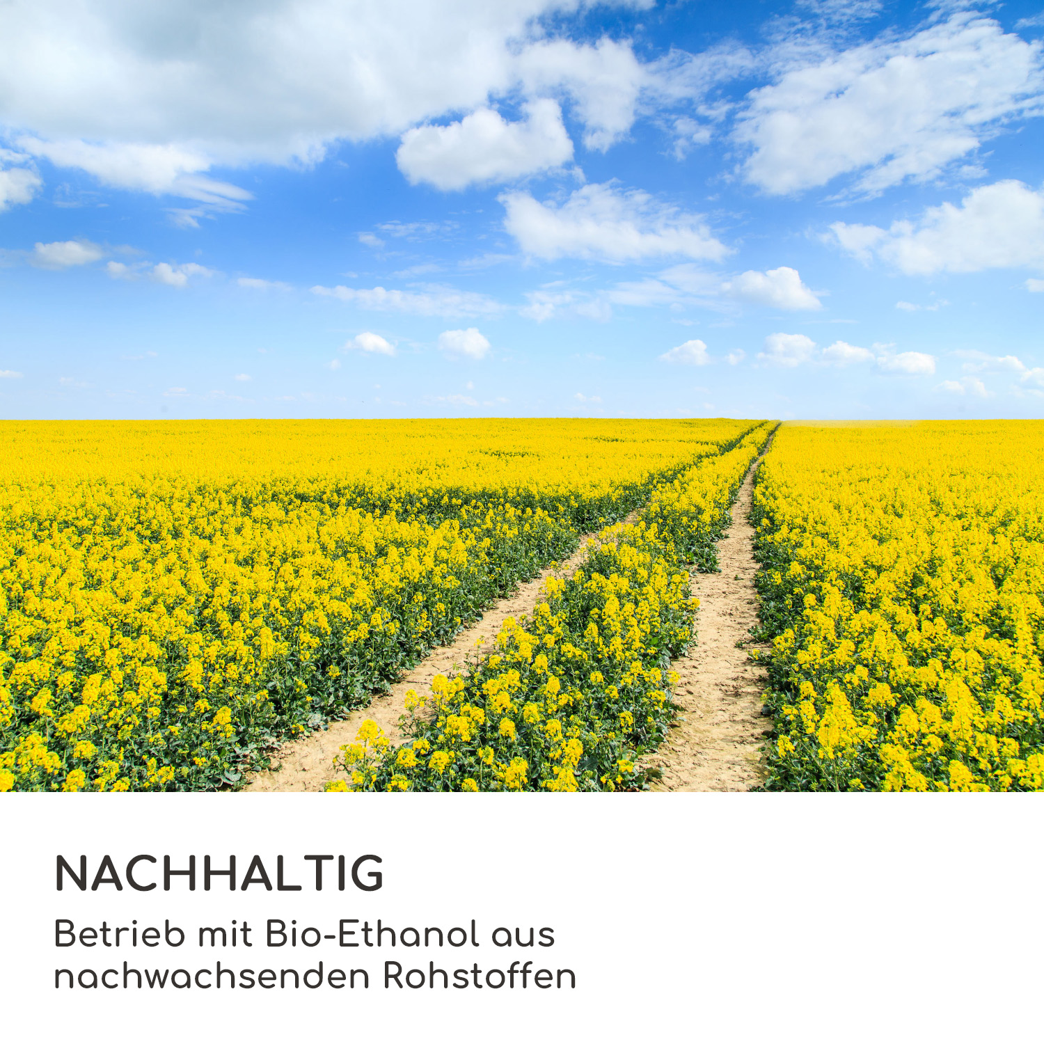 Gelbes Blumenfeld mit Pfad unter blauem Himmel. Text: NACHHALTIG, mit Text darunter.