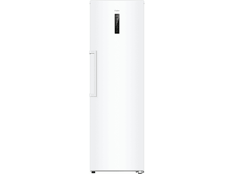HAIER H4F306WDH1 Gefrierschrank (D, 190 cm hoch)