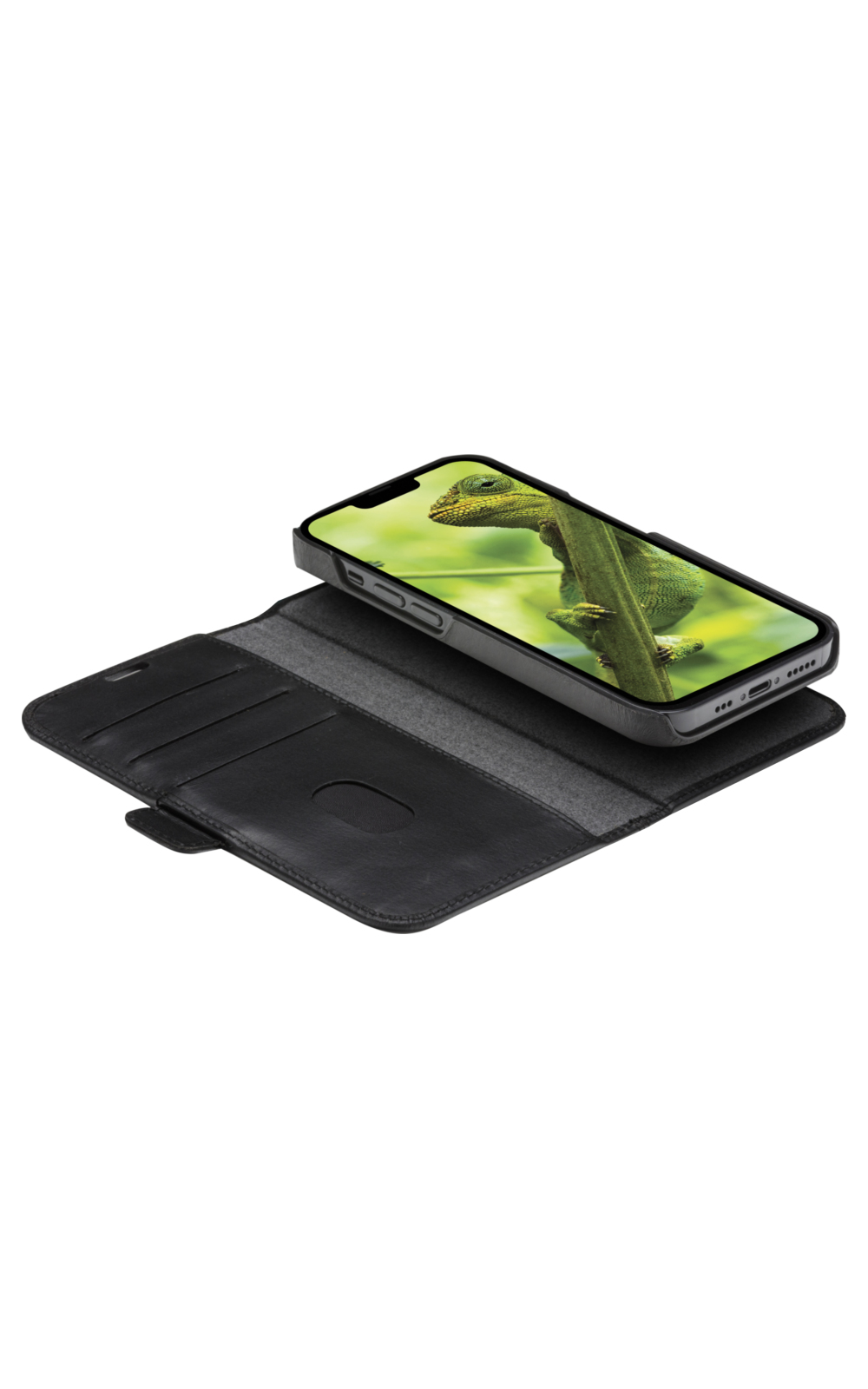 Un iPhone in una custodia, aperto, con un camaleonte sullo schermo.
