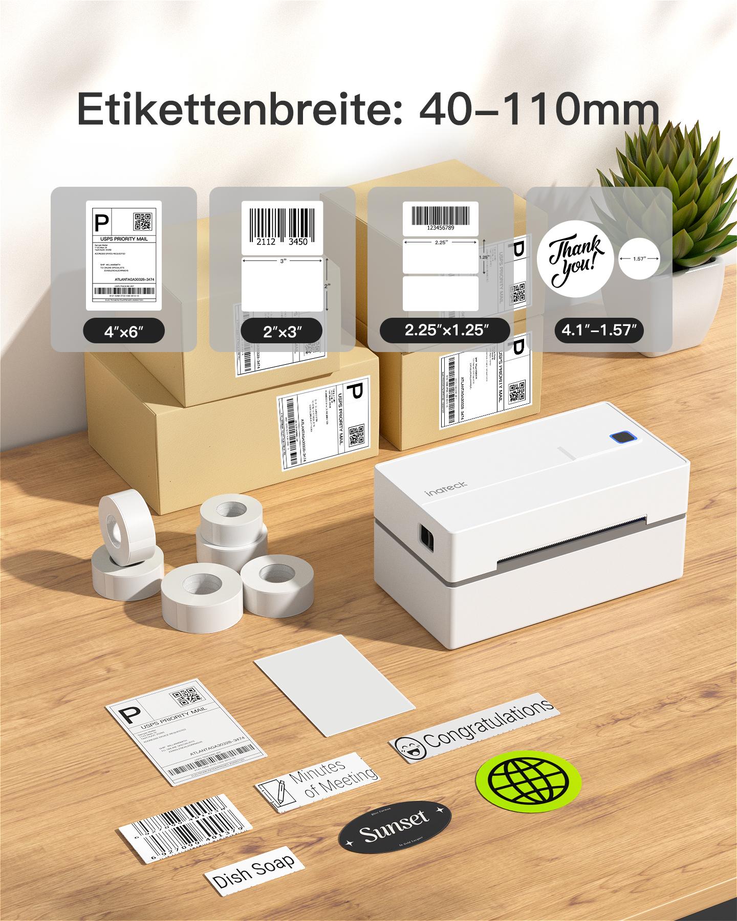 Ein Etikettendrucker mit verschiedenen Etikettengrößen und einer kleinen Pflanze auf Holz.