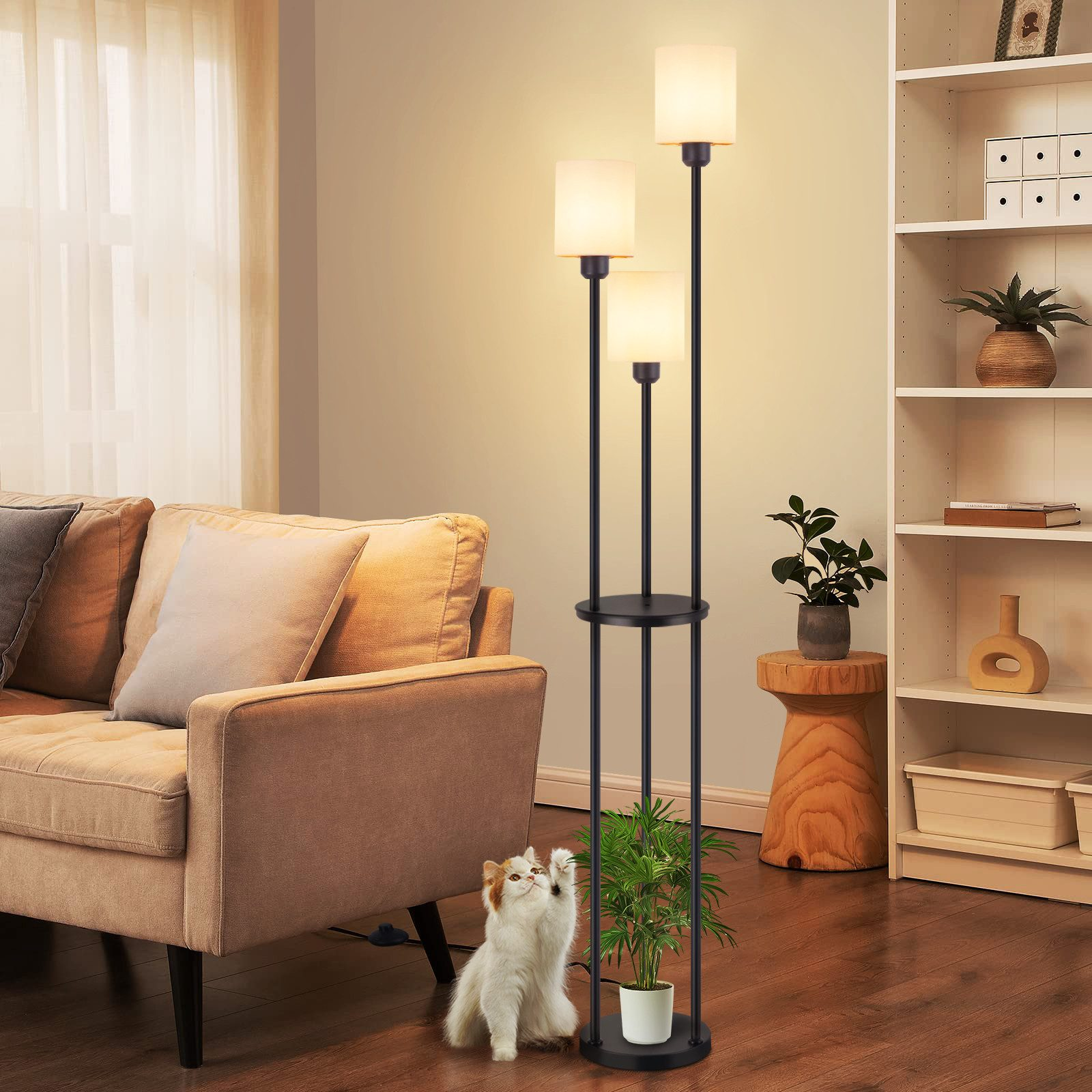 Salon z kotem, lampą podłogową, kanapą i regałem na książki.