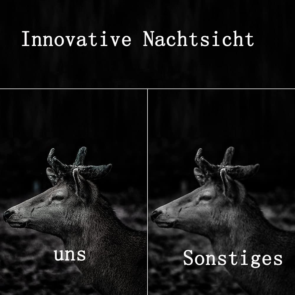 Zwei Hirsche in Schwarzweiß, mit den Worten Innovative Nachtsicht oben und anderen unten.