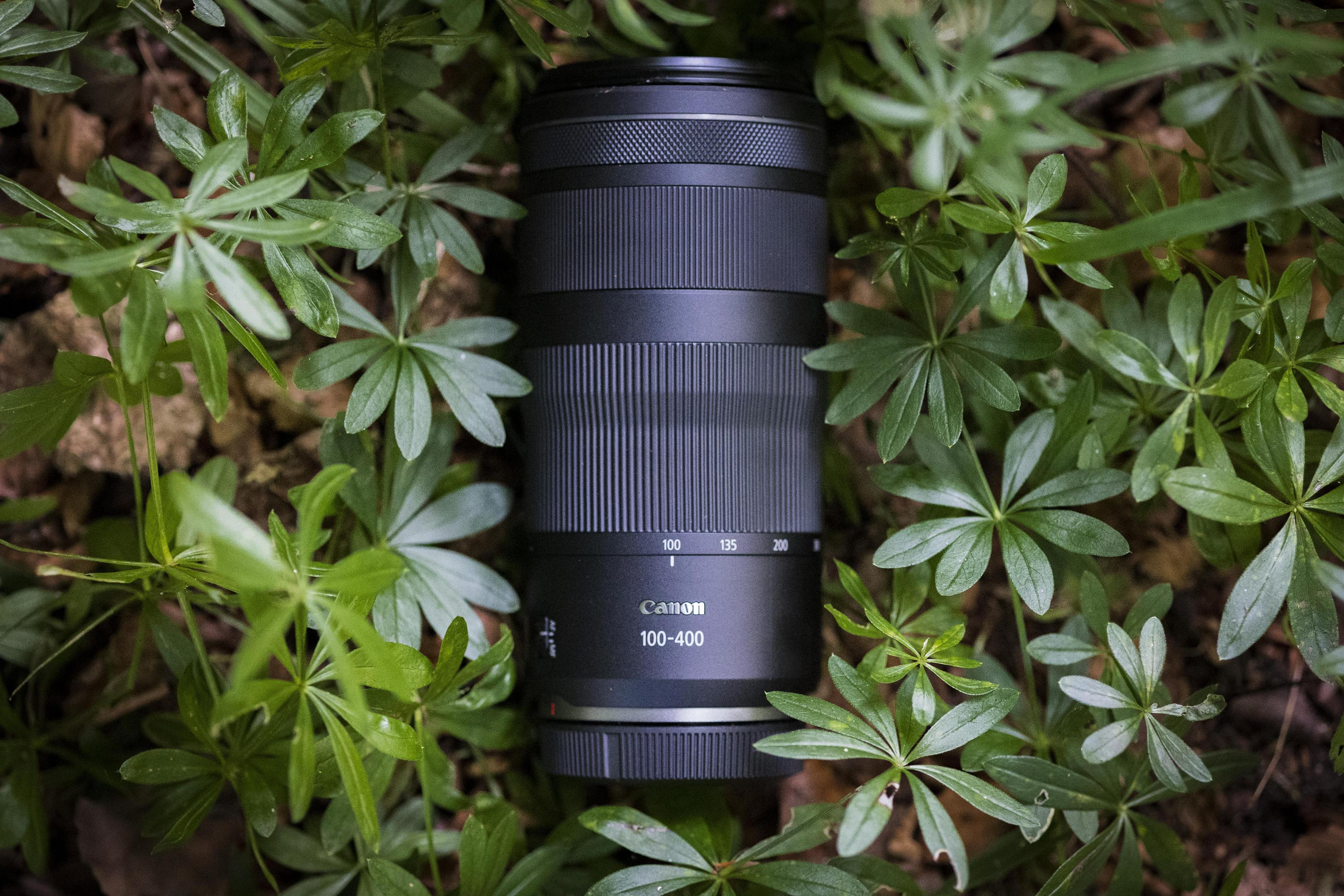 Black Canon lens, 100-400mm, surrounded by green leaves on the ground.