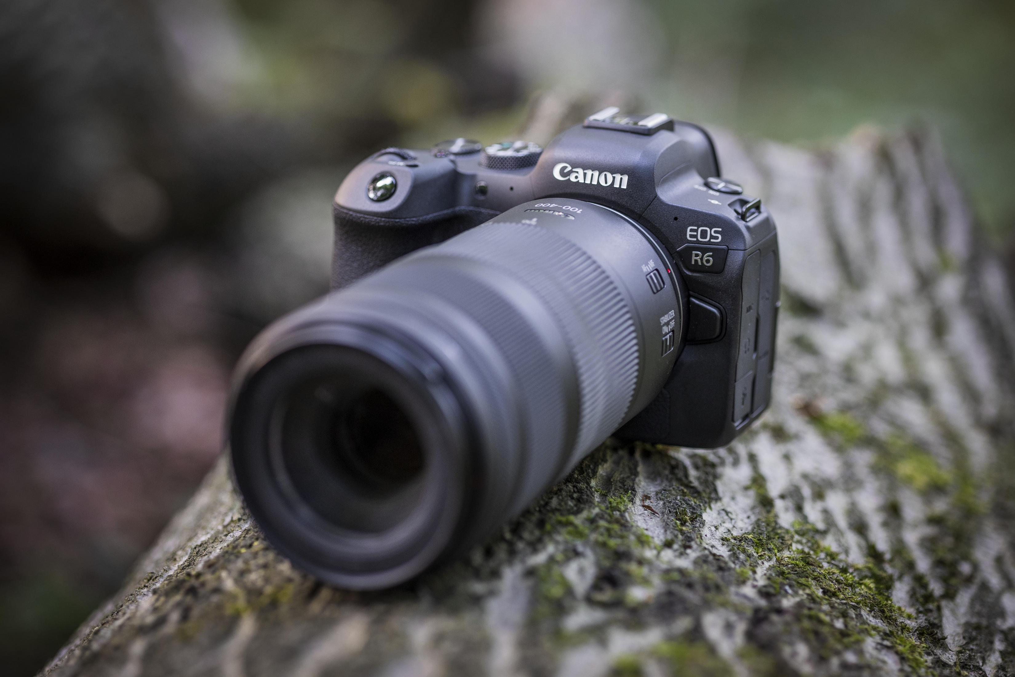 A Canon camera with a lens on a tree stump in a blurred forest setting.