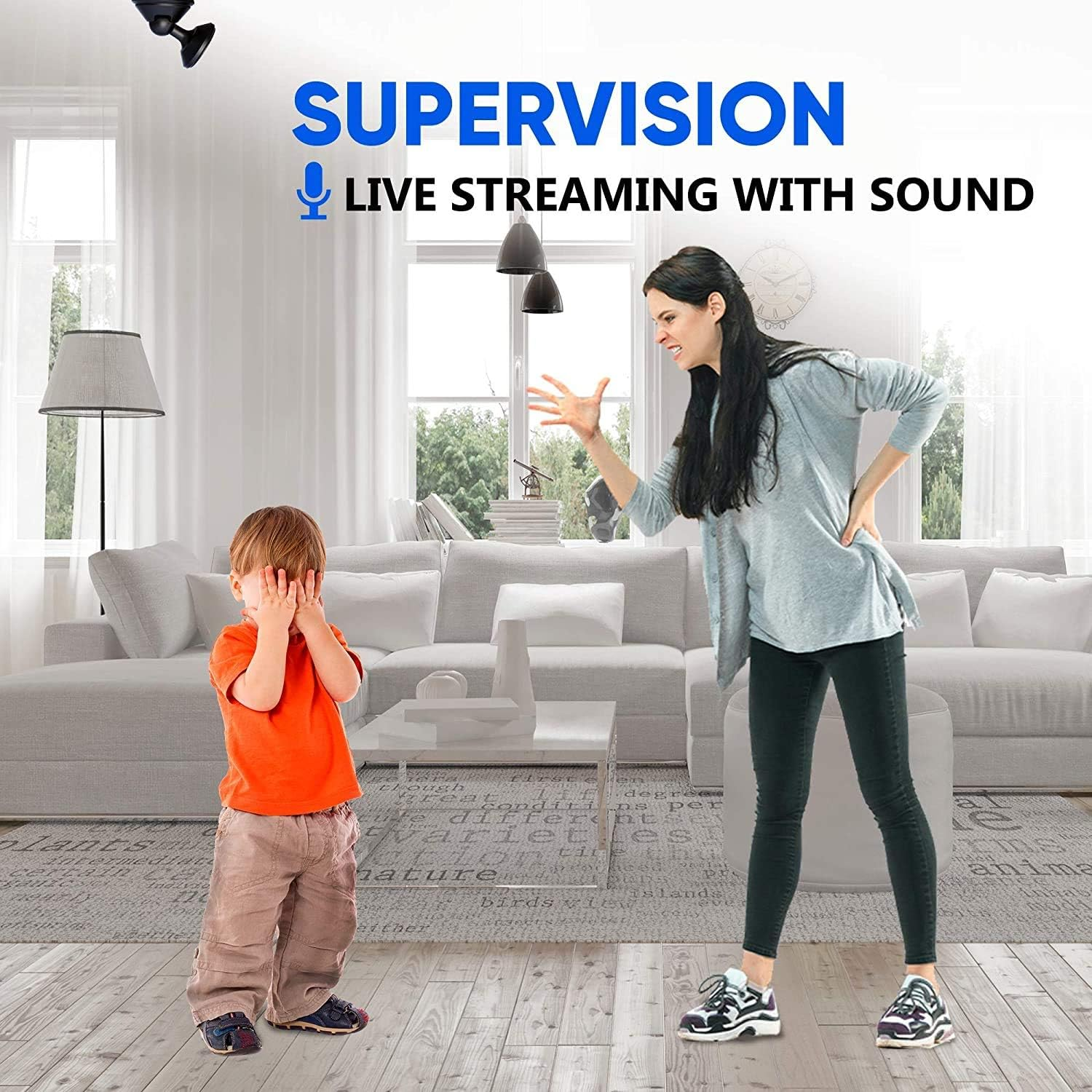 Eine Mutter schimpft ein Kind in einem Wohnzimmer. Der Text oben lautet 'Supervision'.