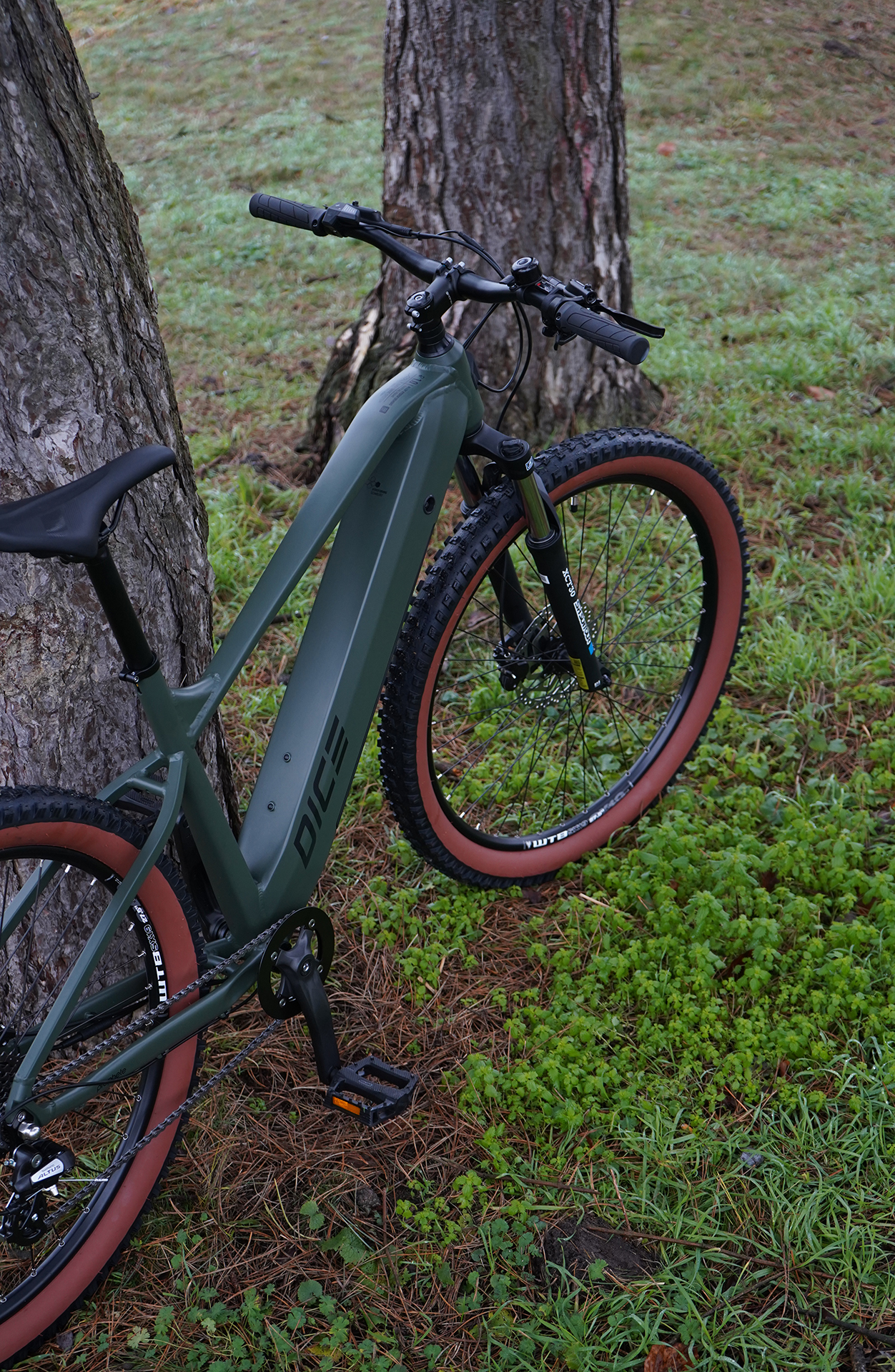 Grünes E-Bike lehnt an einem Baum, auf Gras. Braune Reifen.