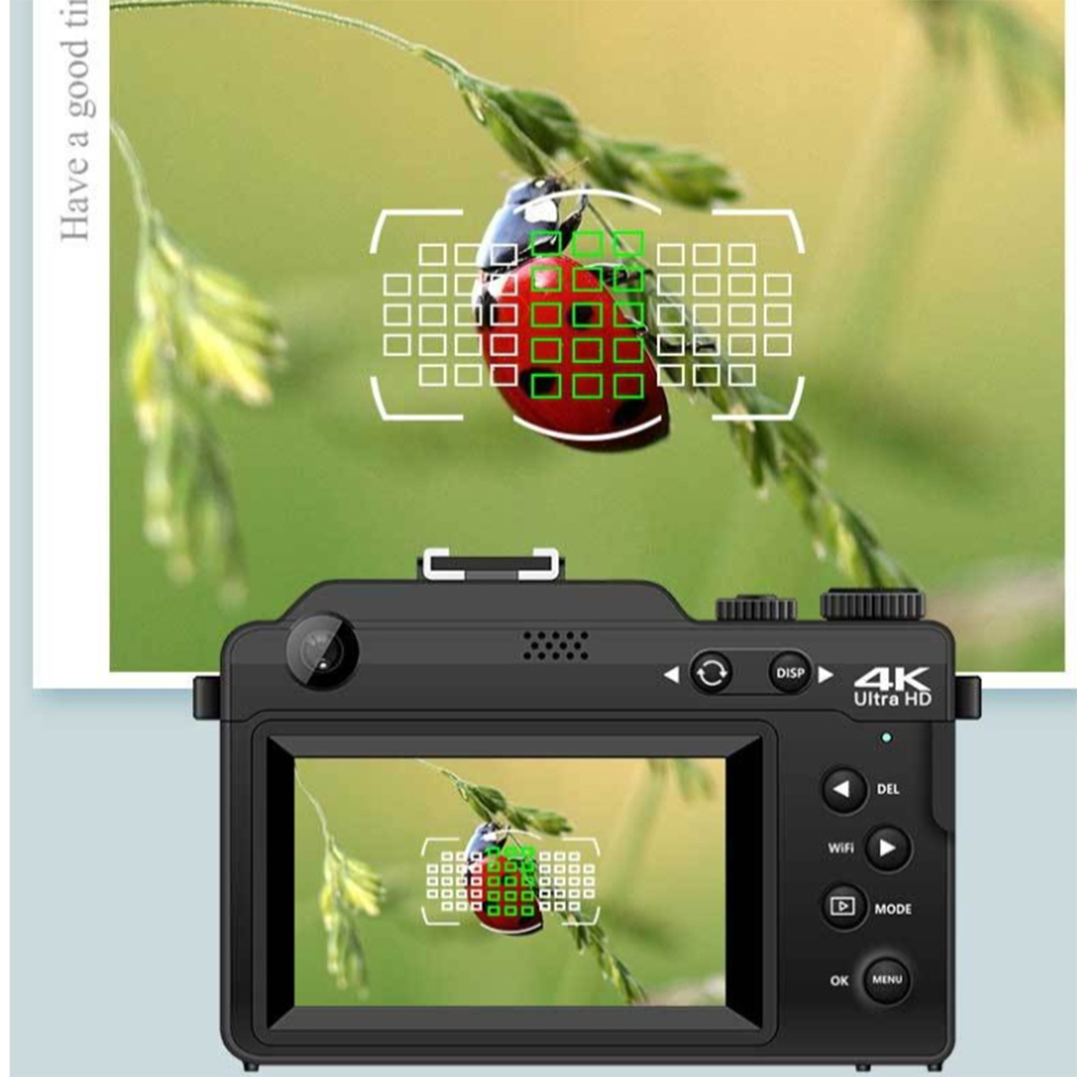 Eine Digitalkamera mit einem Marienkäfer auf einem Blatt, das auf dem Bildschirm fokussiert ist.