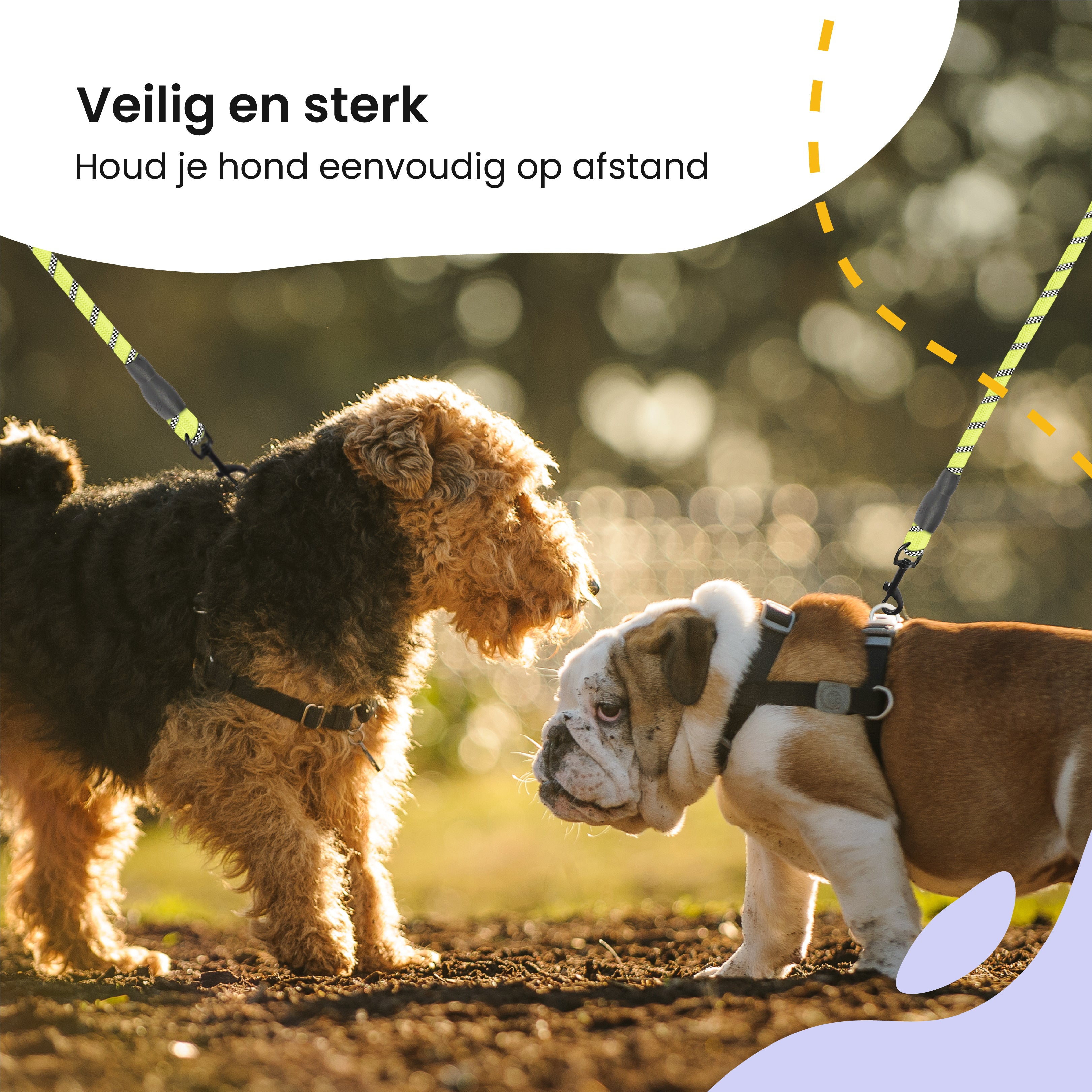 Two dogs on leashes. The text says: Safe and strong. Keep your dog at a distance.