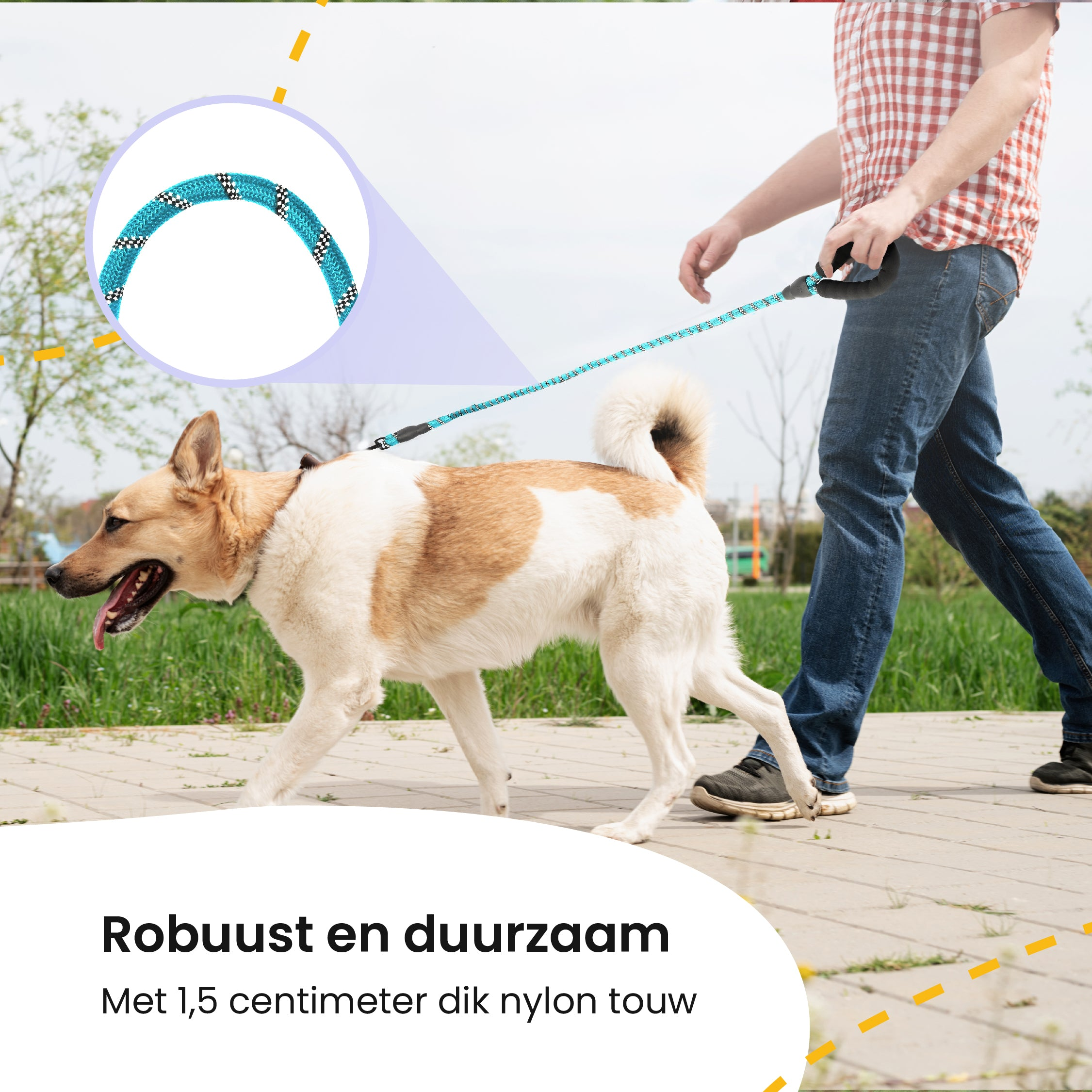 A person walking a dog on a leash. The dog is beige and white.