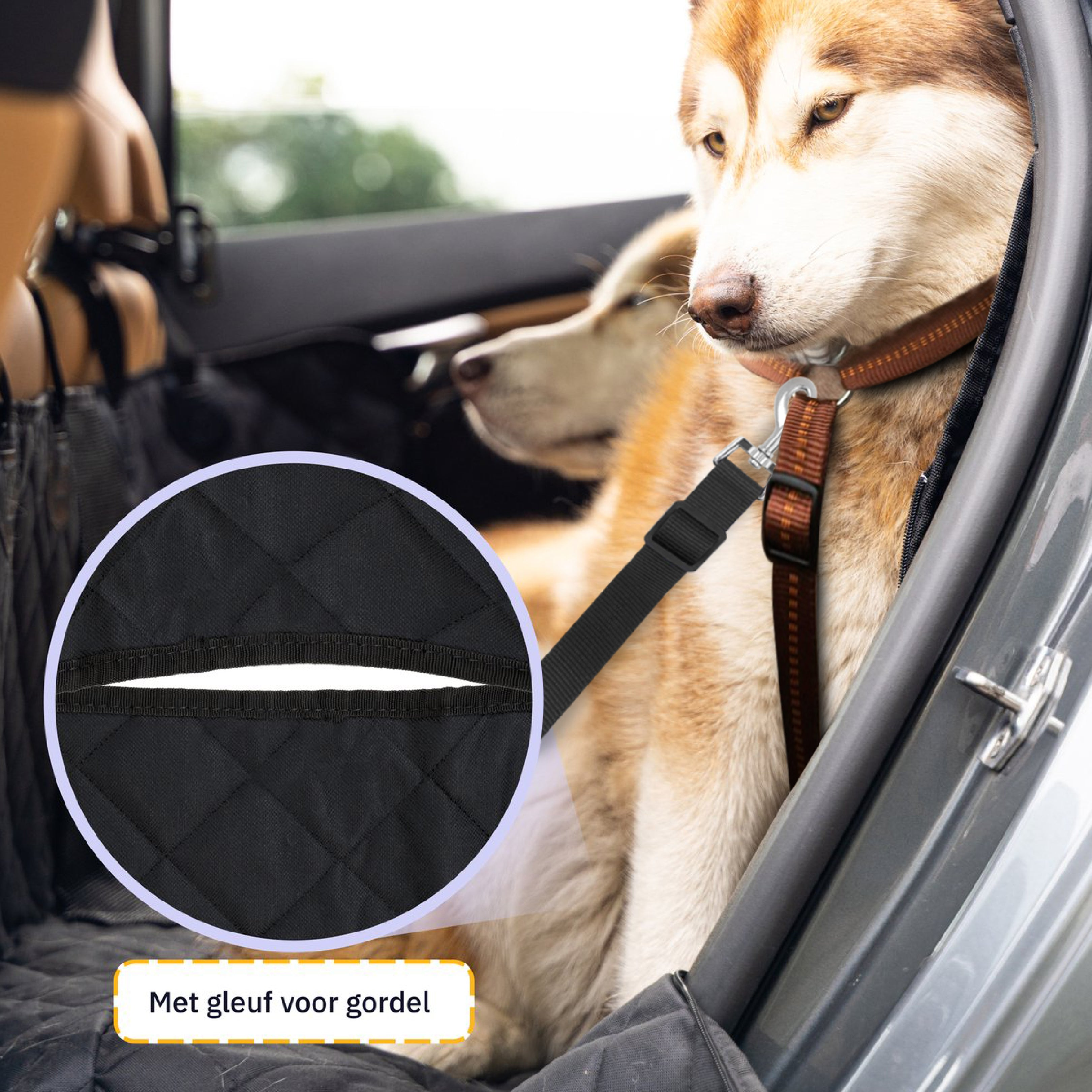 Un chien dans un siège auto. Une ceinture de sécurité noire est montrée, avec une vue rapprochée de la fente.