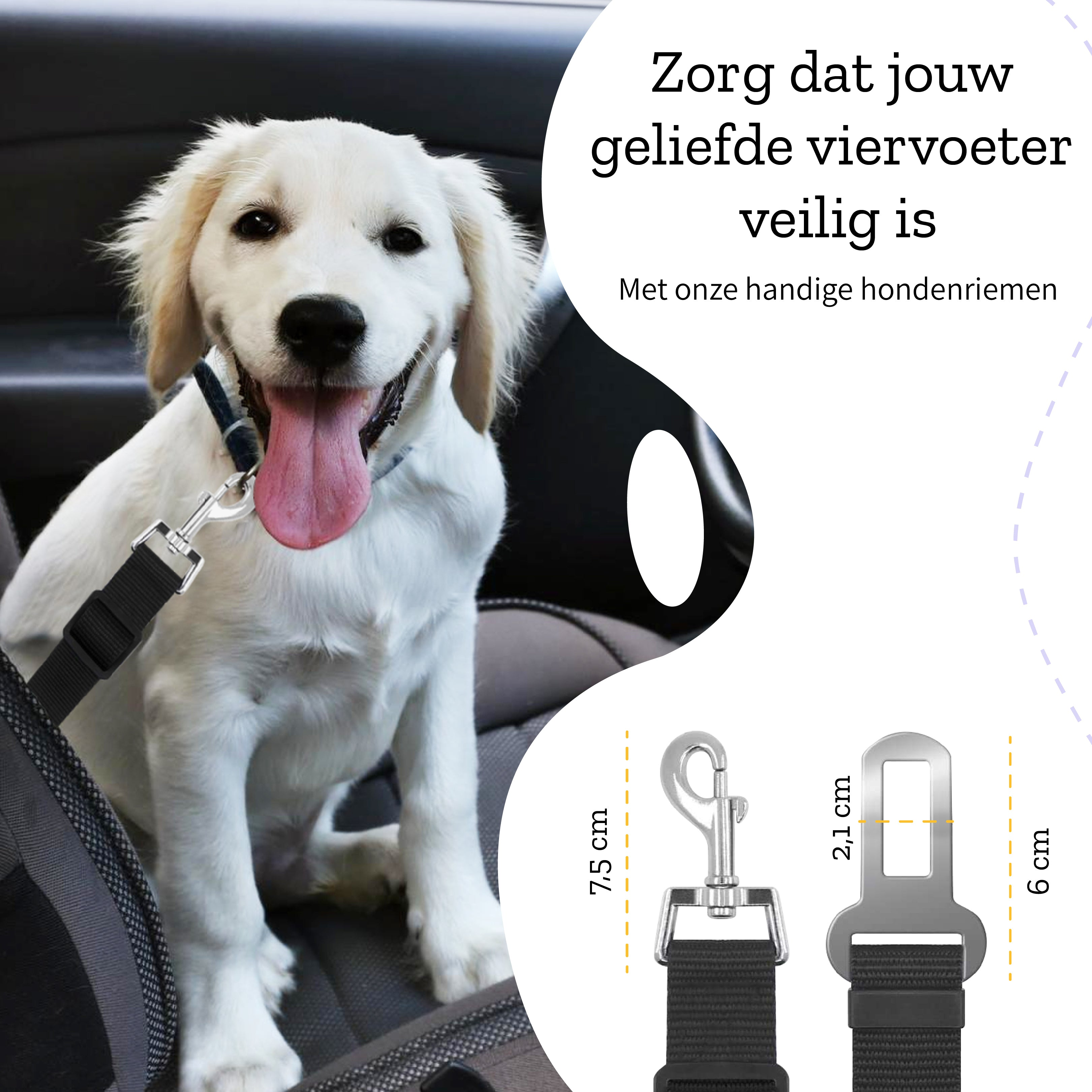 Un chien heureux dans une voiture, avec une fixation de ceinture de sécurité et un schéma des dimensions.