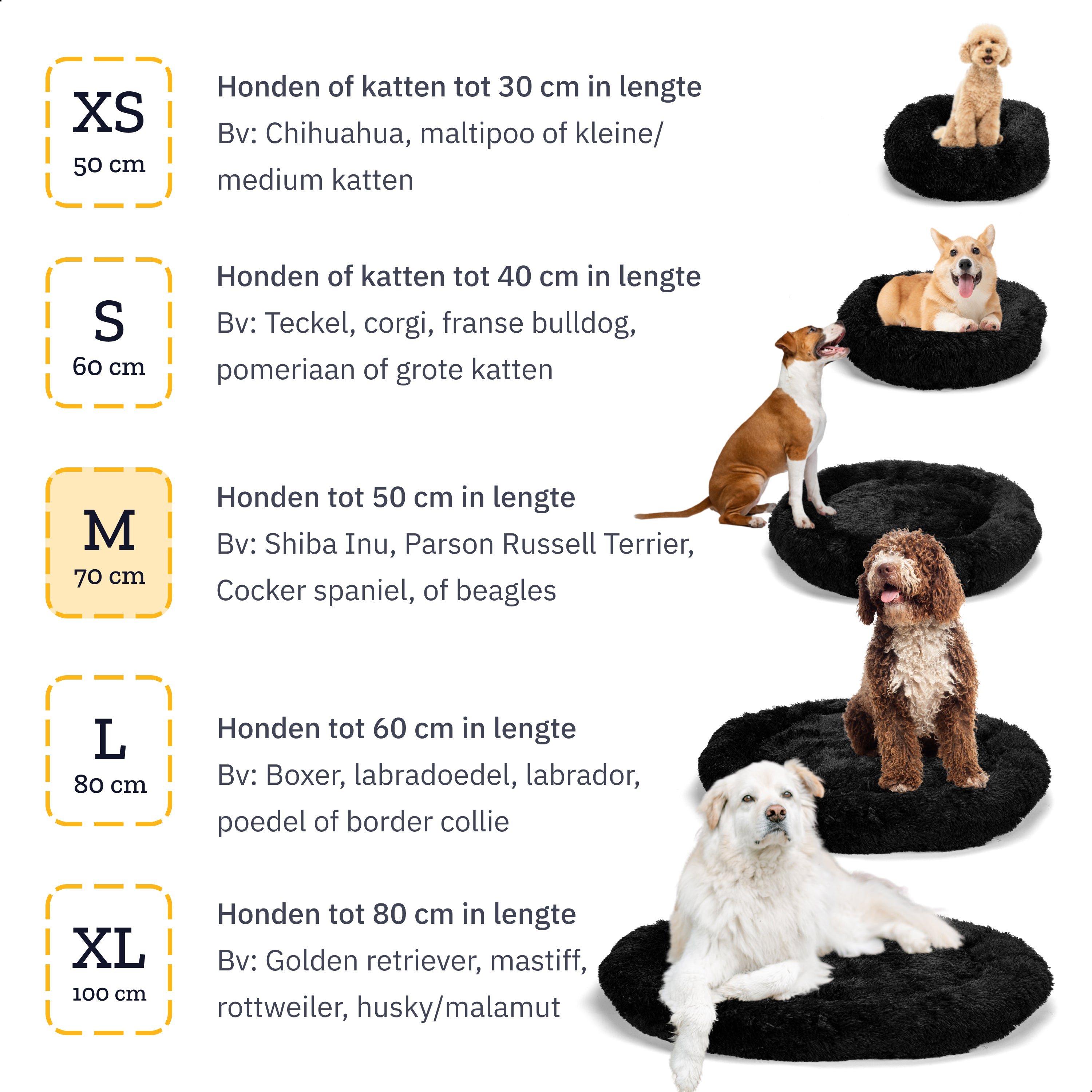 Leitfaden zur Darstellung von Hundegrößen. Verschiedene Hunde liegen auf schwarzen, flauschigen Betten neben Größenetiketten.