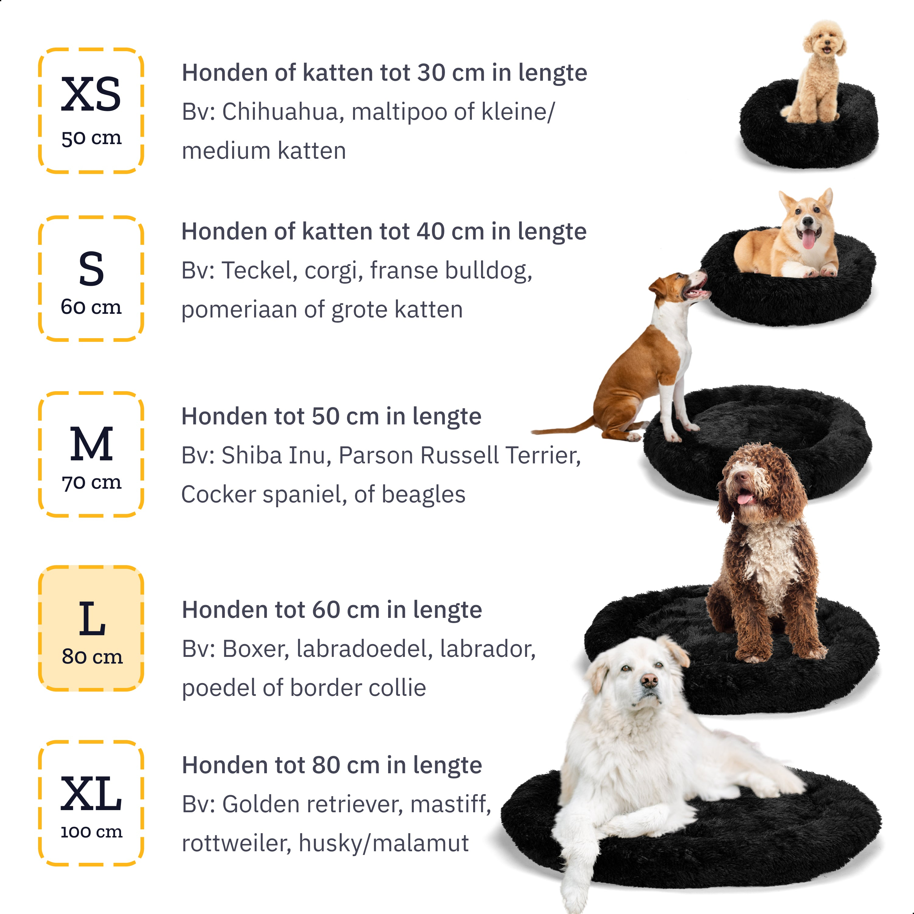 Dog beds of different sizes with dogs of different breeds.